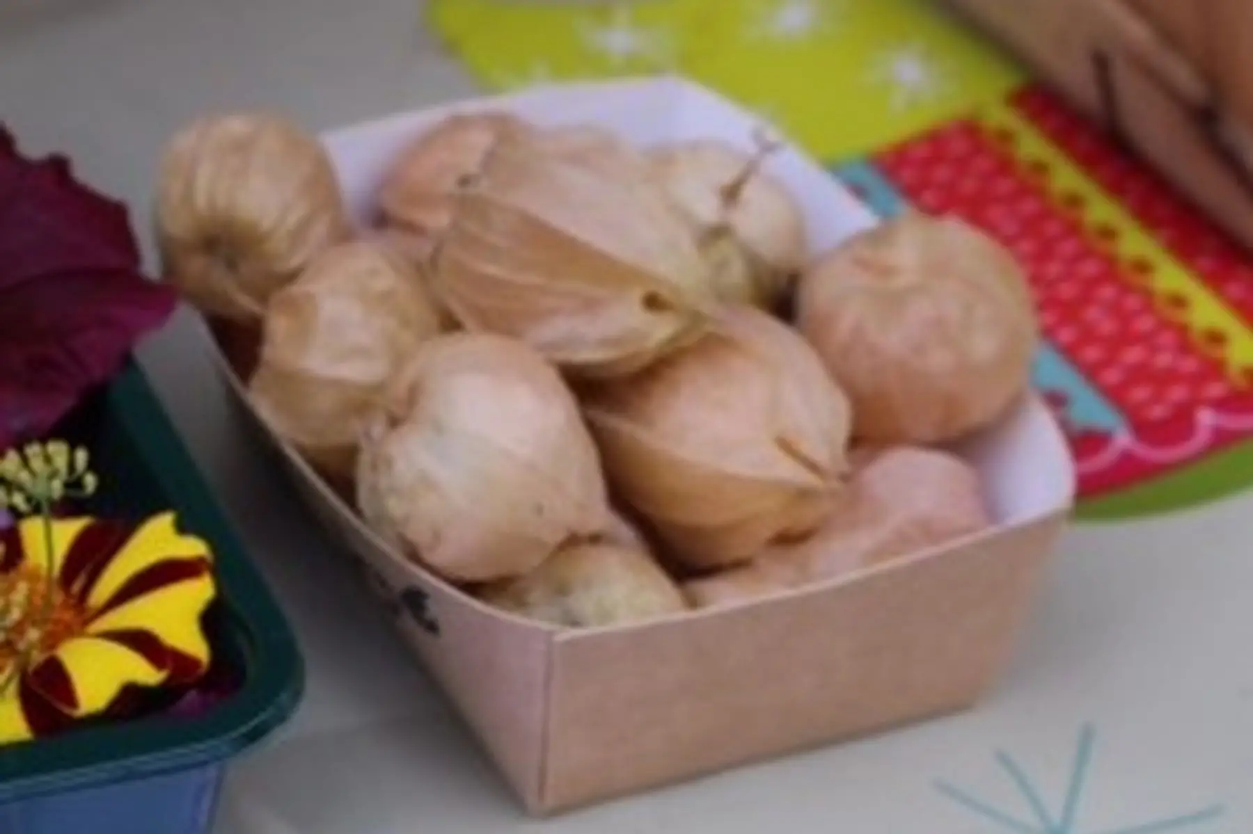 barquette de physalis