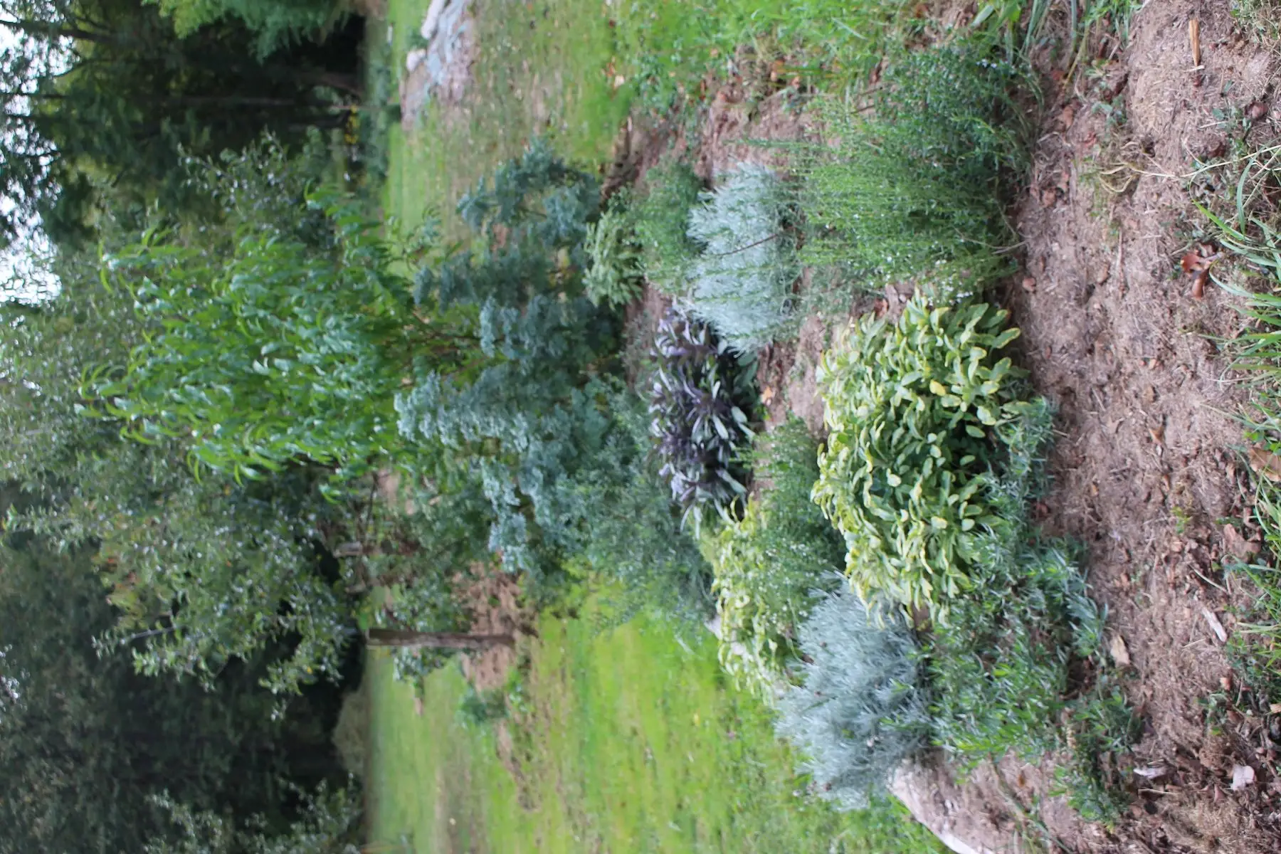 pot aromatique à couper