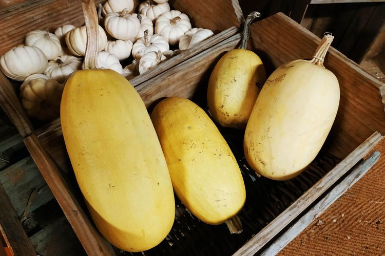 courge spaghetti
