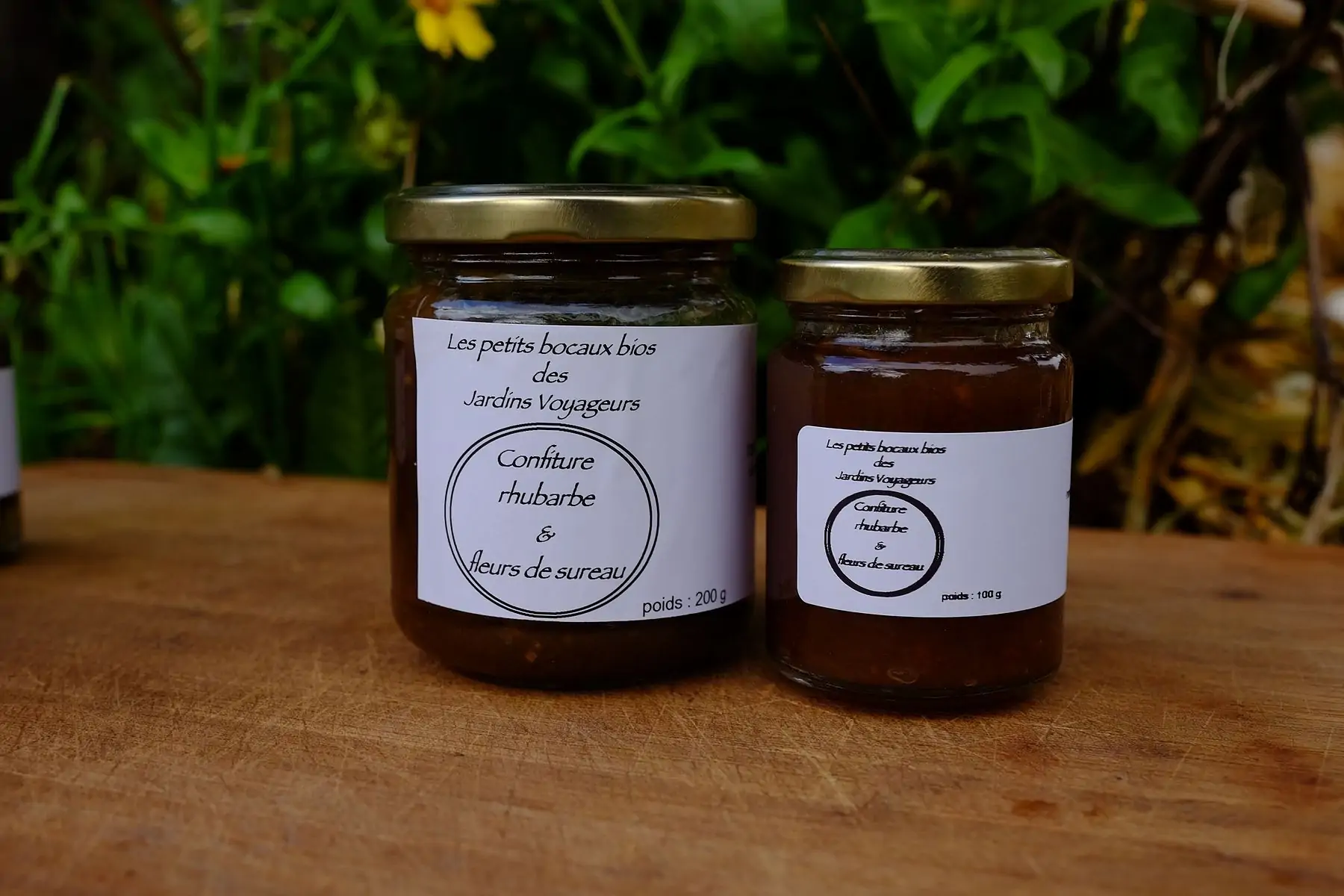confiture rhubarbe & fleurs de sureau