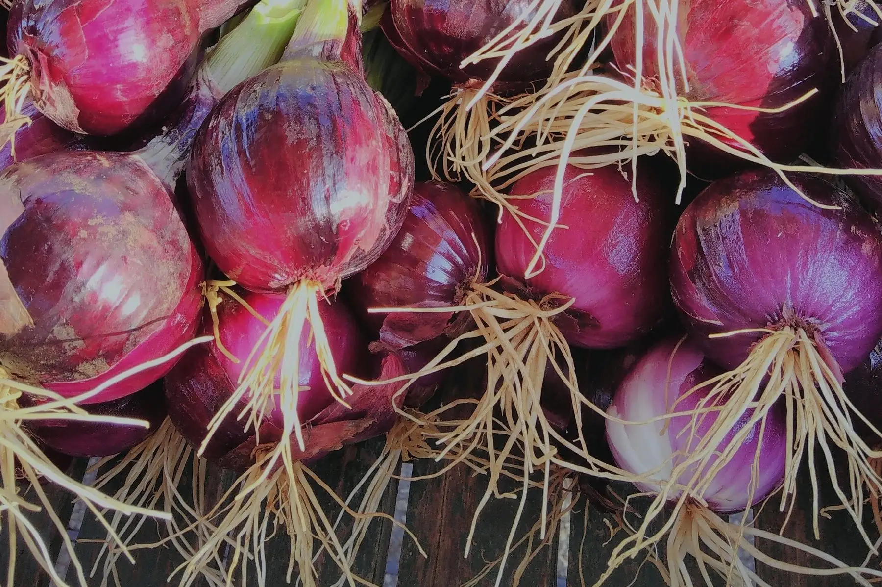 oignon rouge vrac