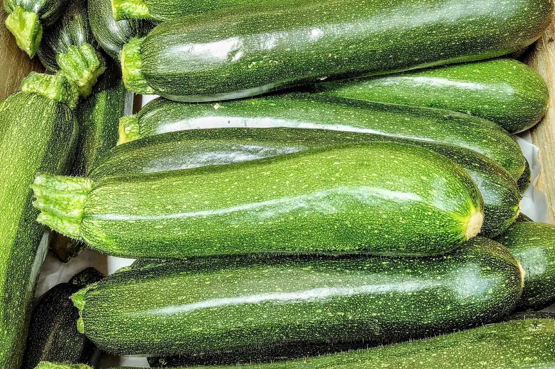 courgette