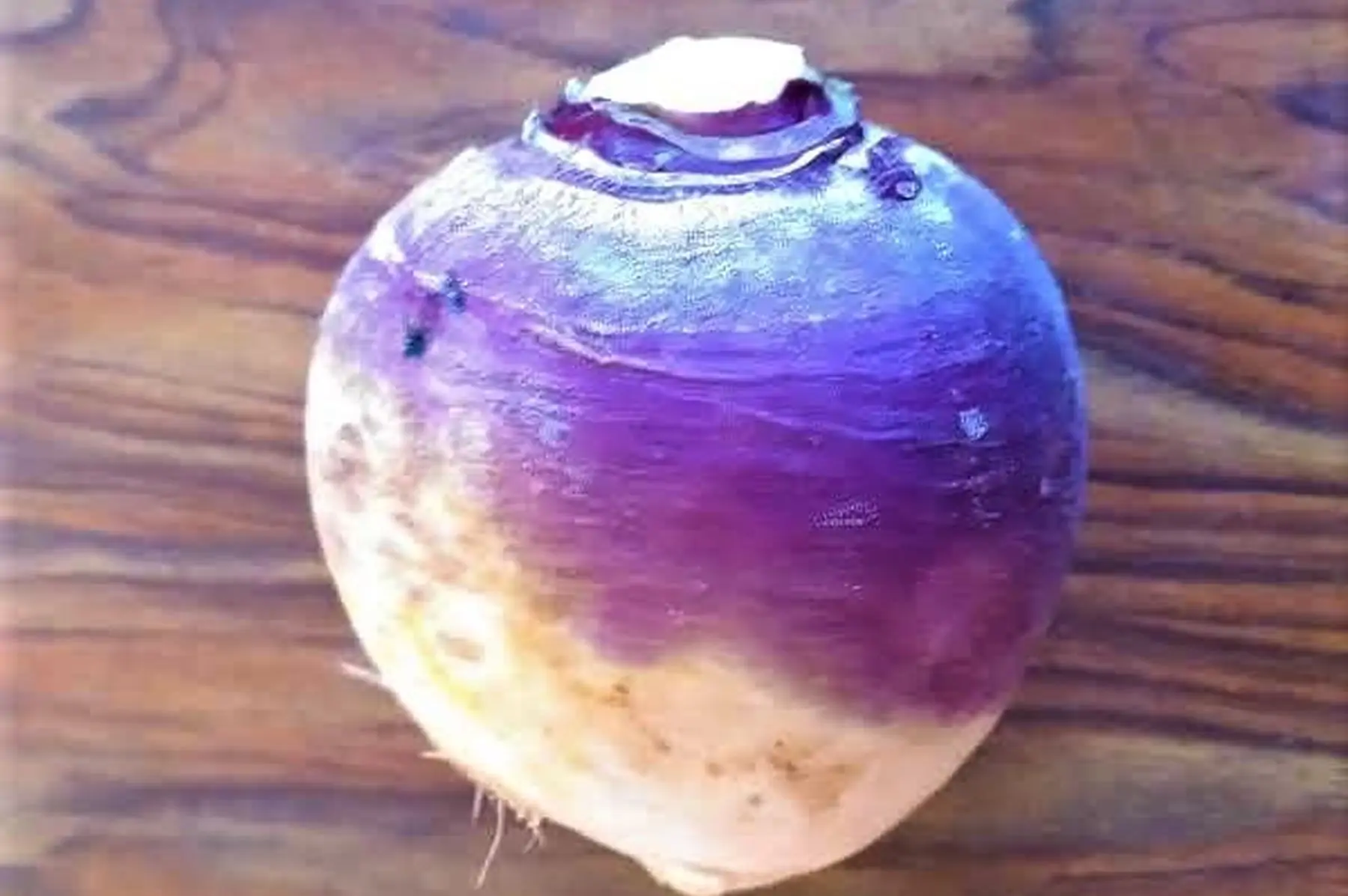 rutabaga