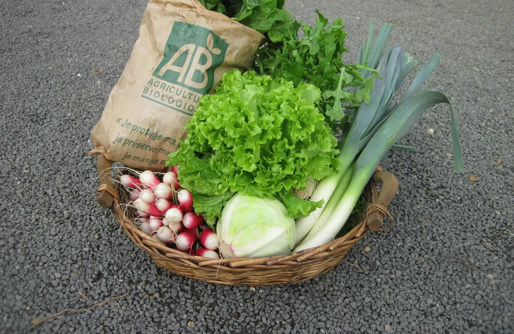 * panier du potager moins joli