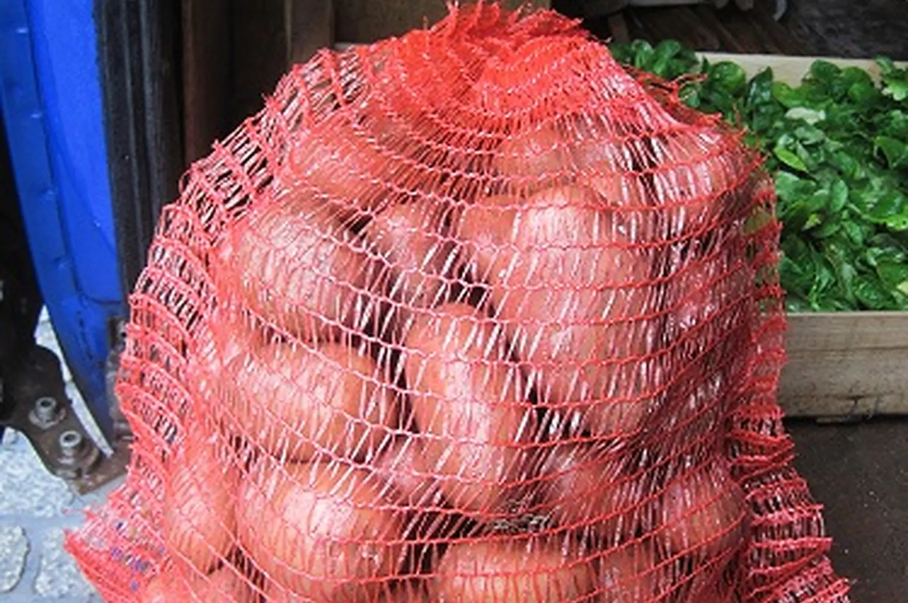 pomme de terre rosabelle