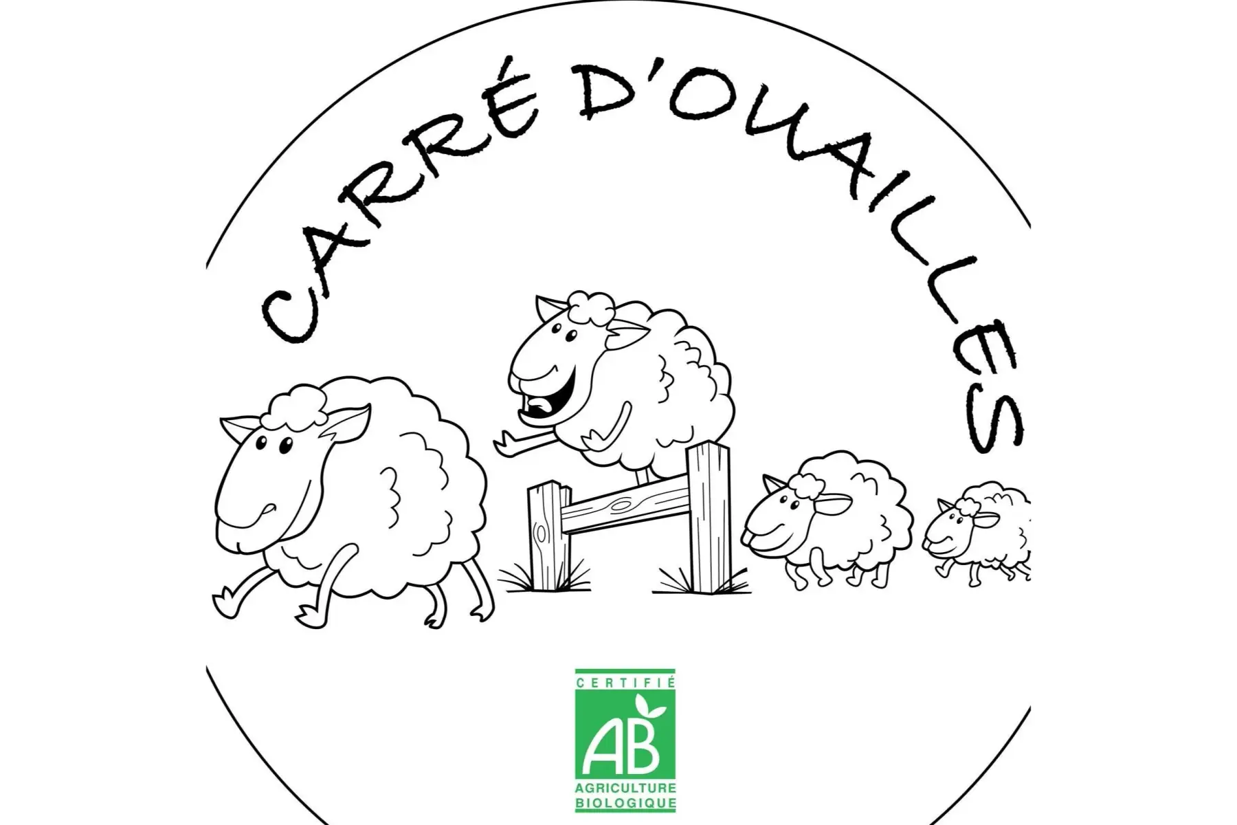 fromage tomme de brebis