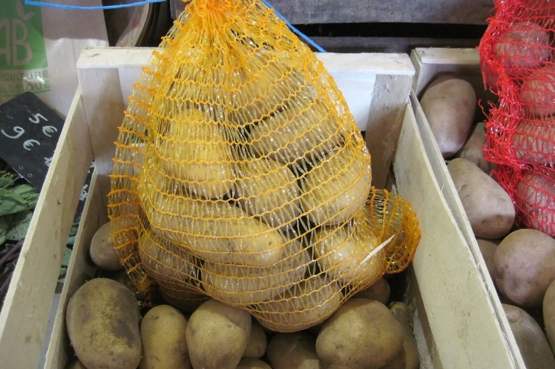 pomme de terre Allians