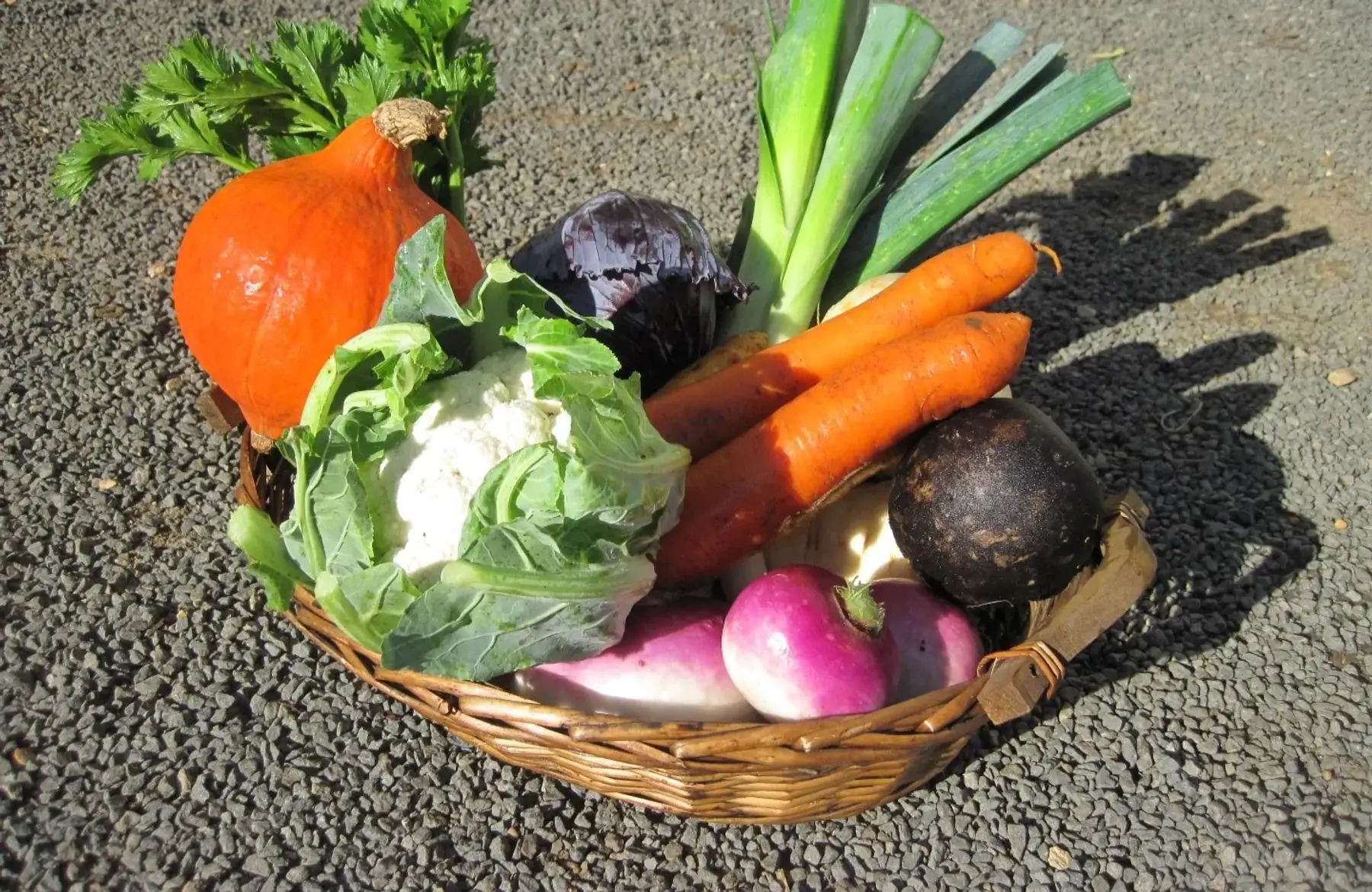 * panier du potager moins joli
