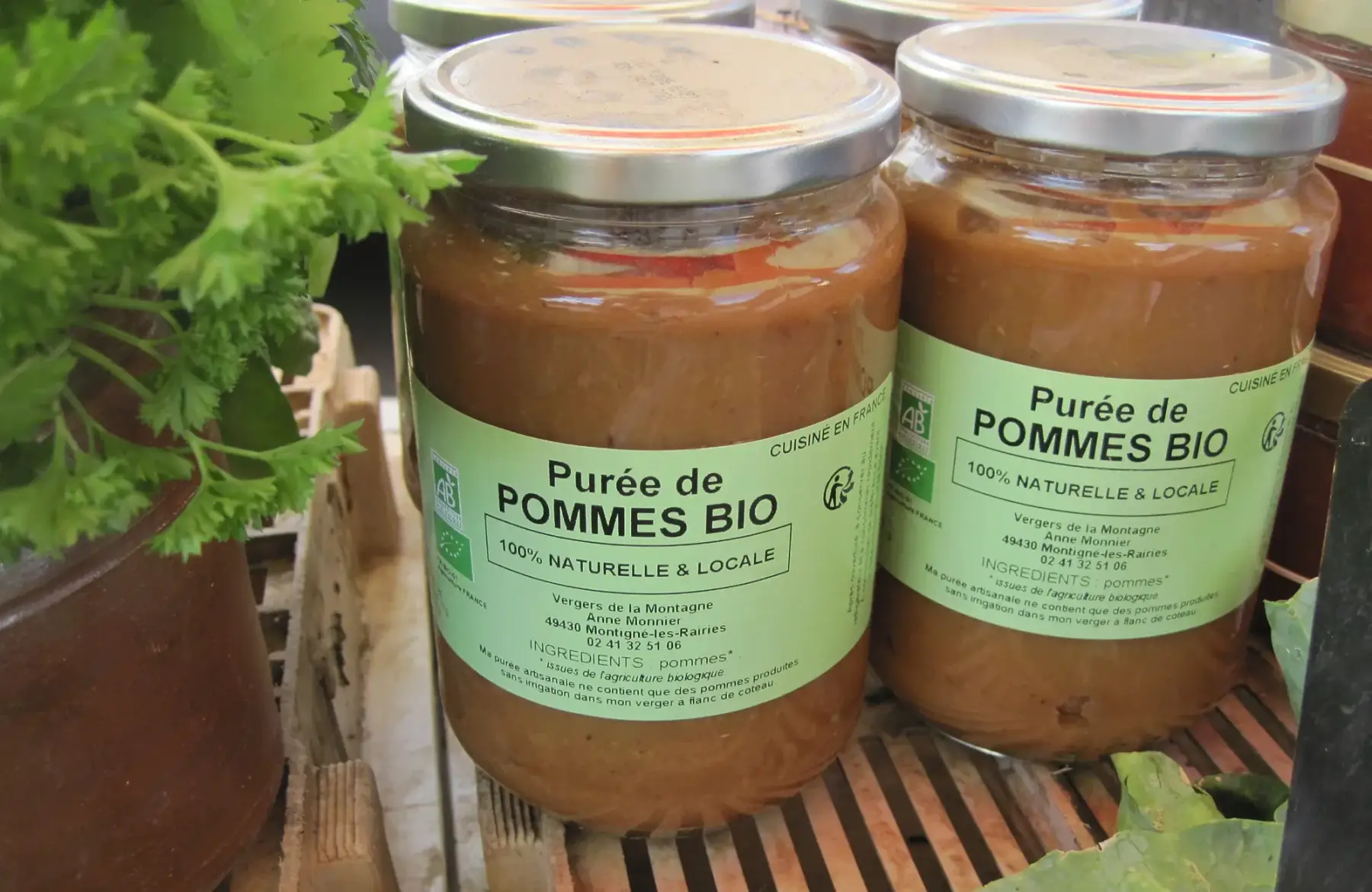 purée de pommes