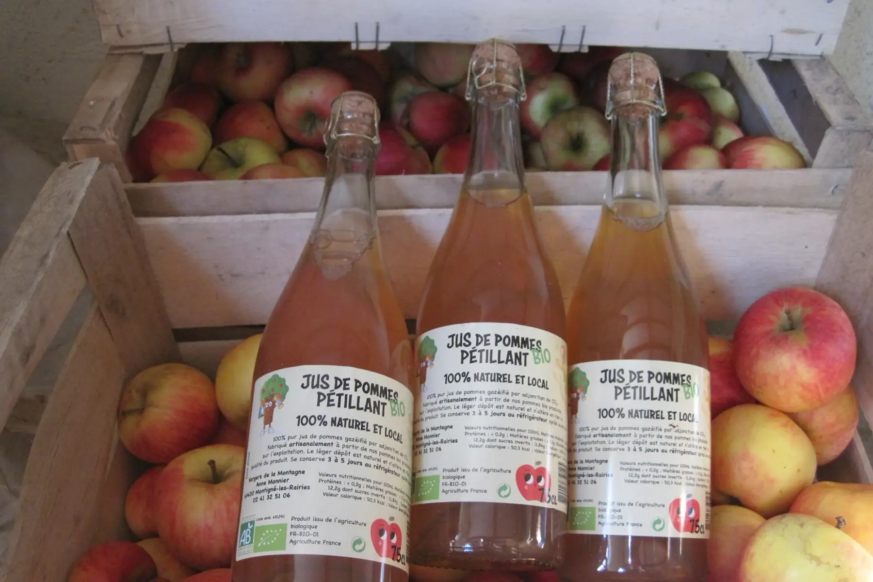 jus pétillant de pommes 75cl