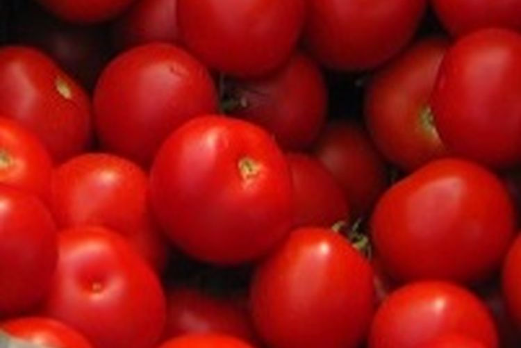 tomate