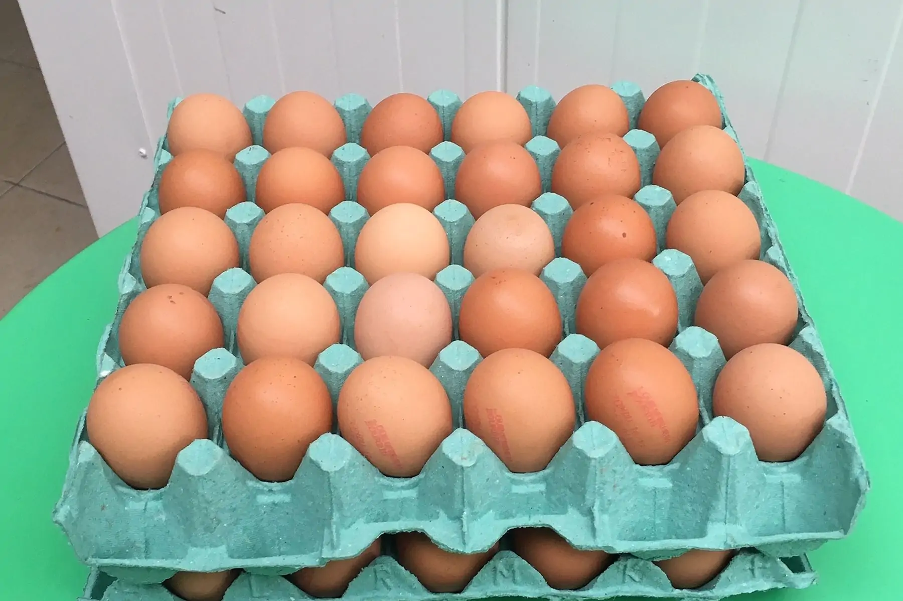 oeufs bio de loue tout calibre