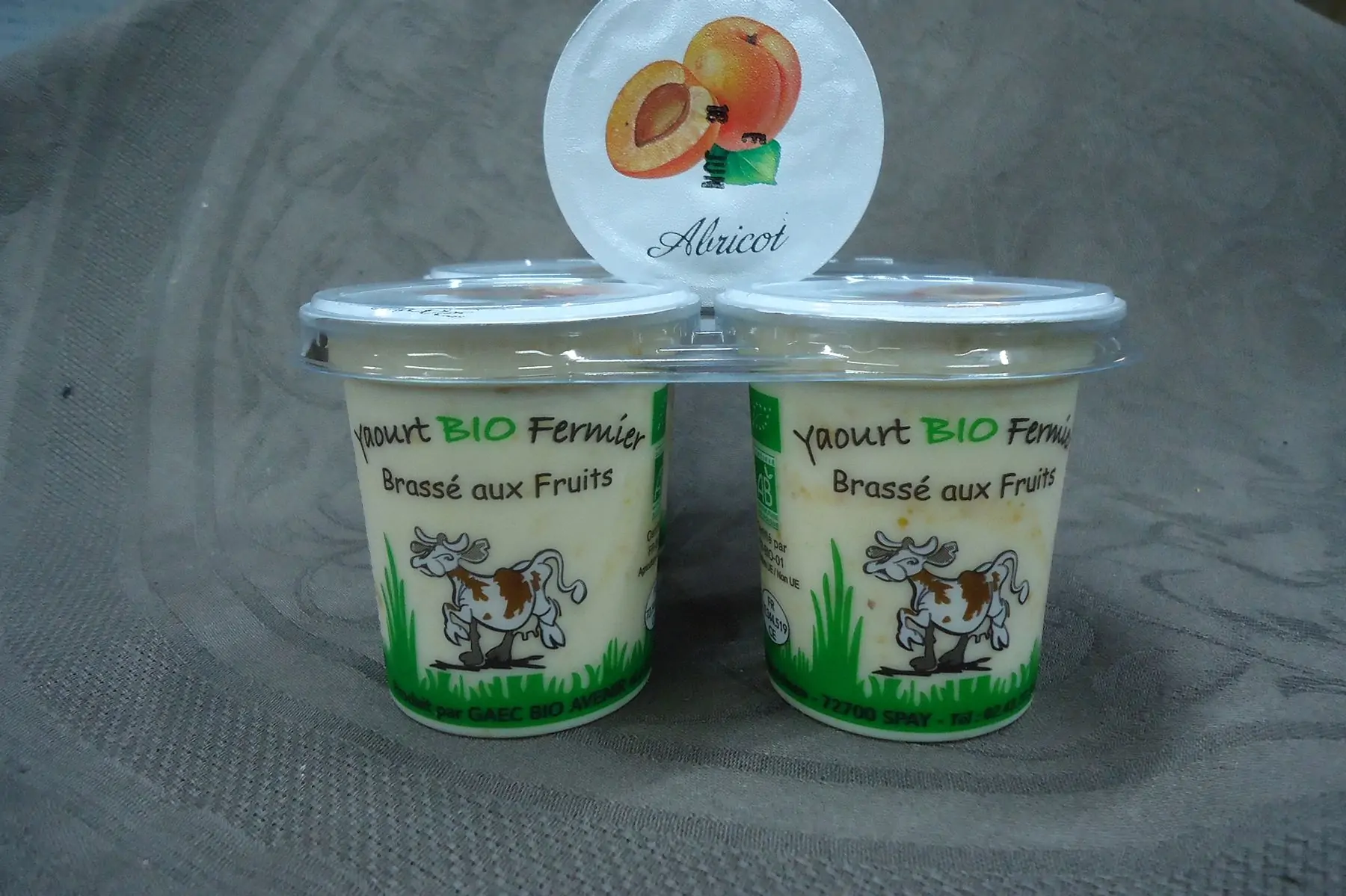 yaourt bio brasse aux fruits