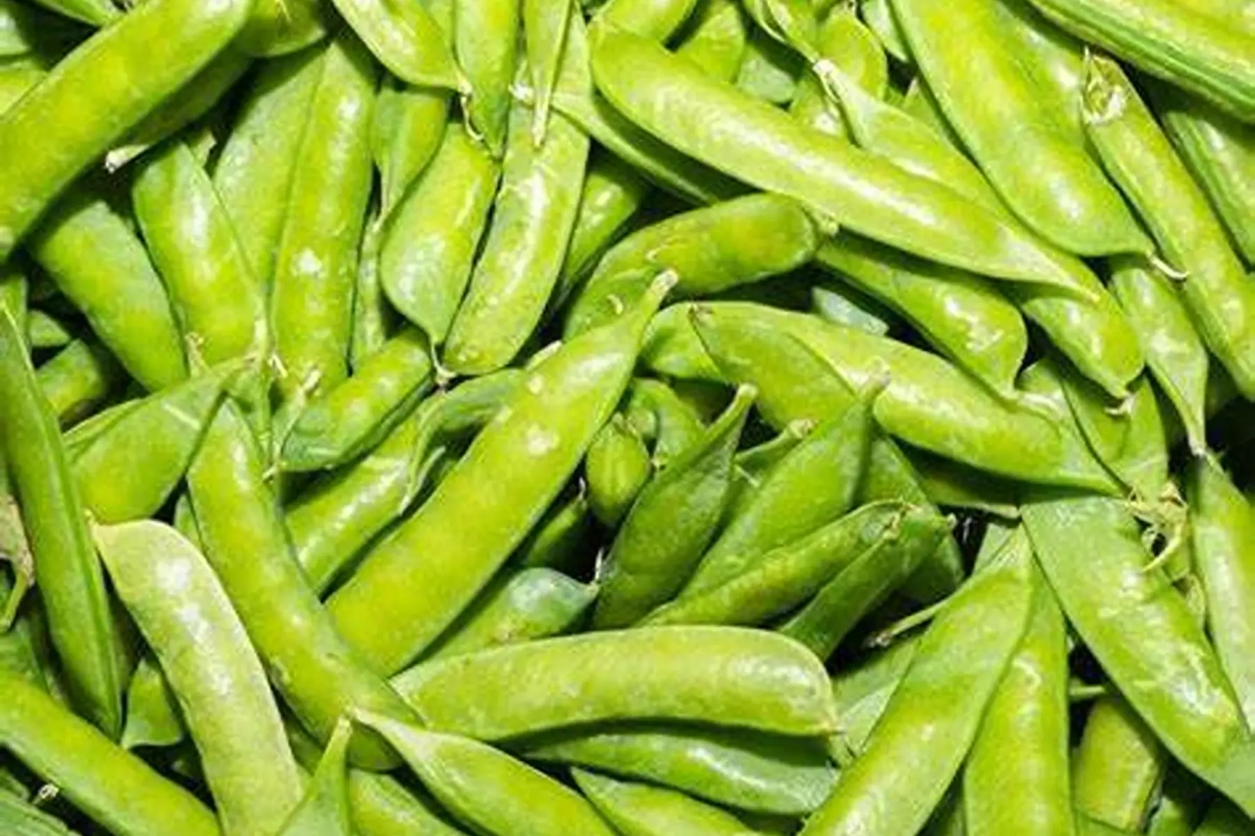petits pois à écosser