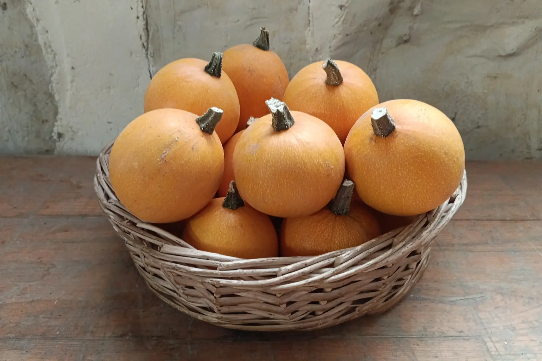 Pomme d'Or