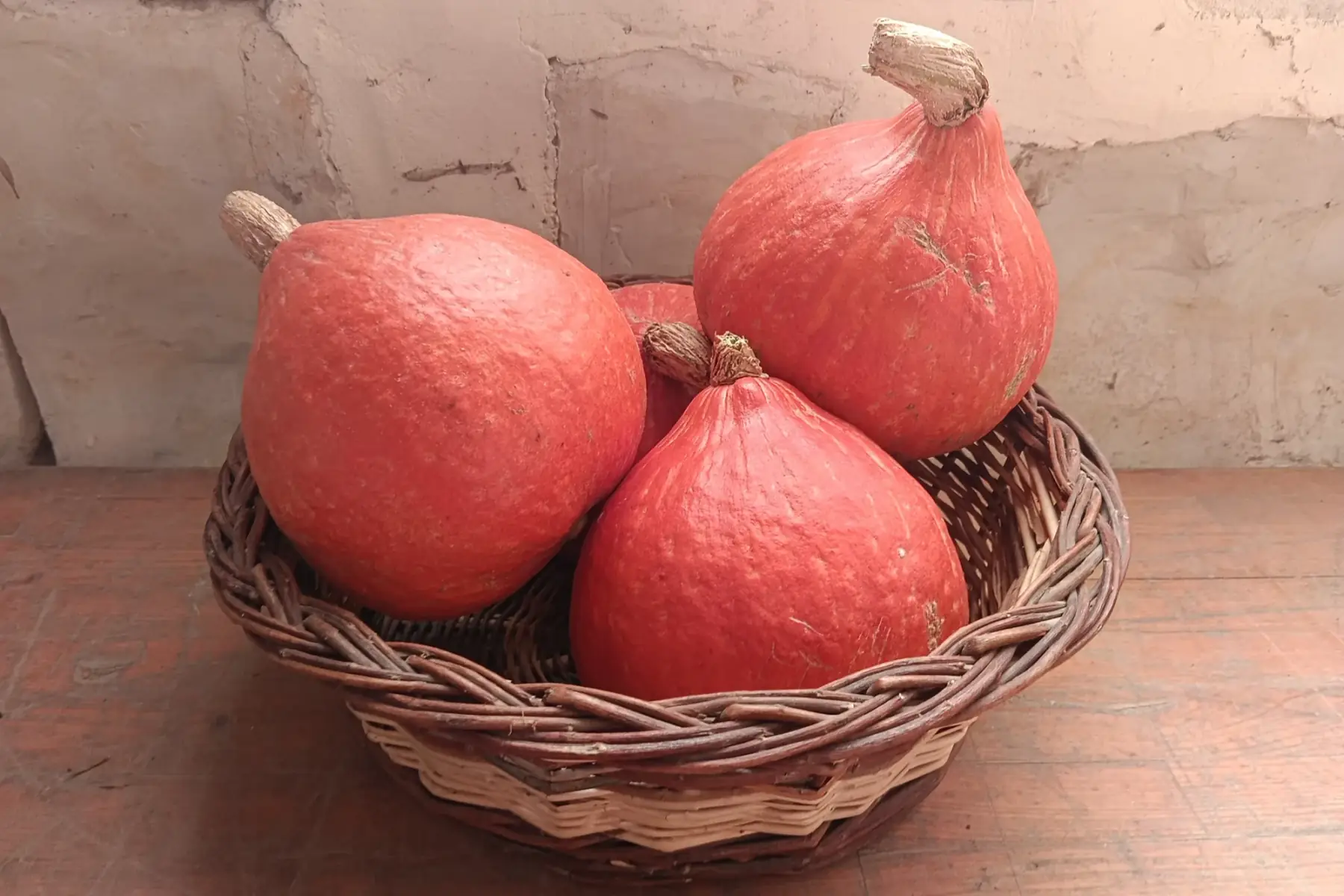 Potimarron