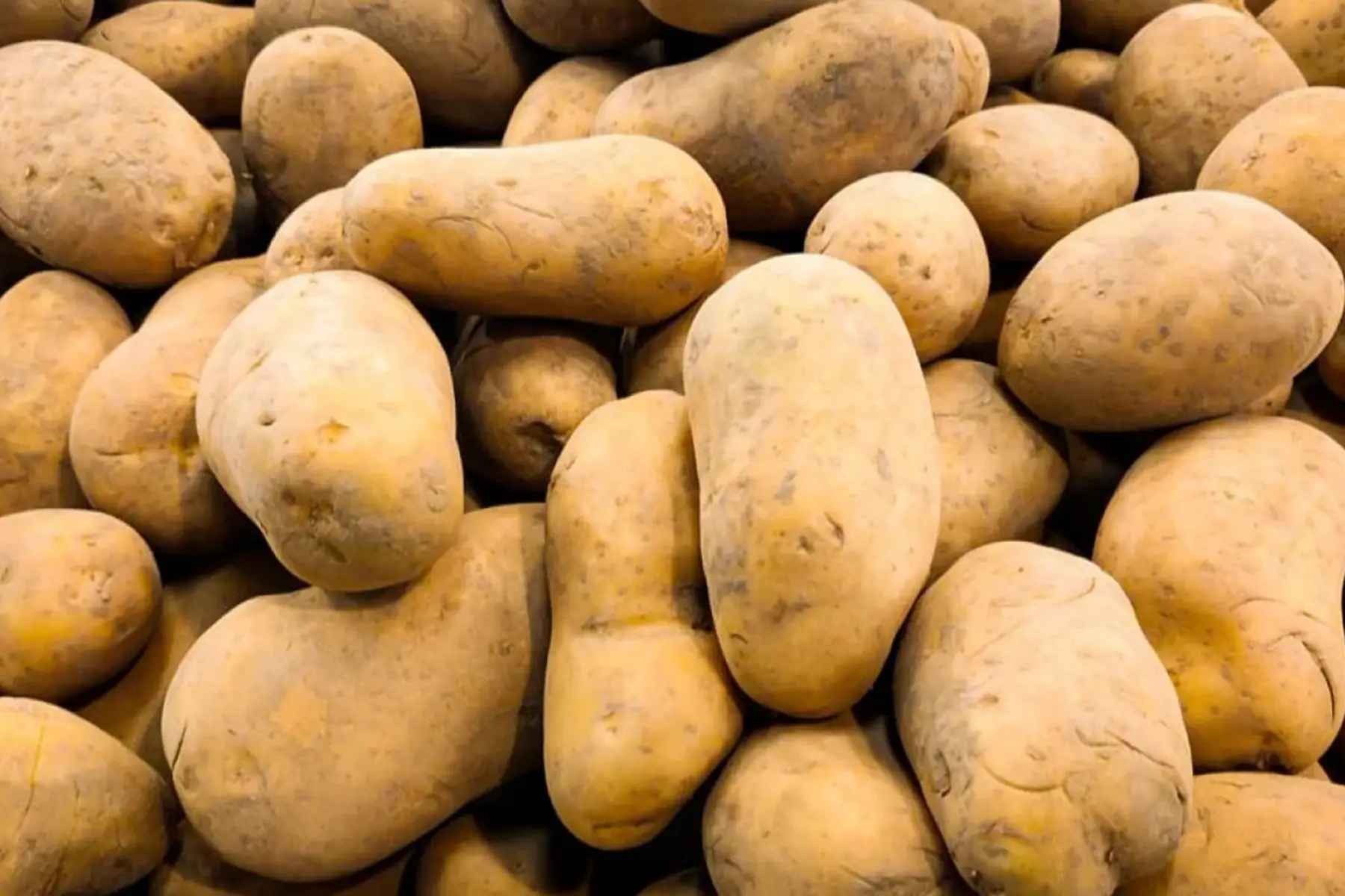 madame sandra vallon