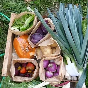 madame angele daveau