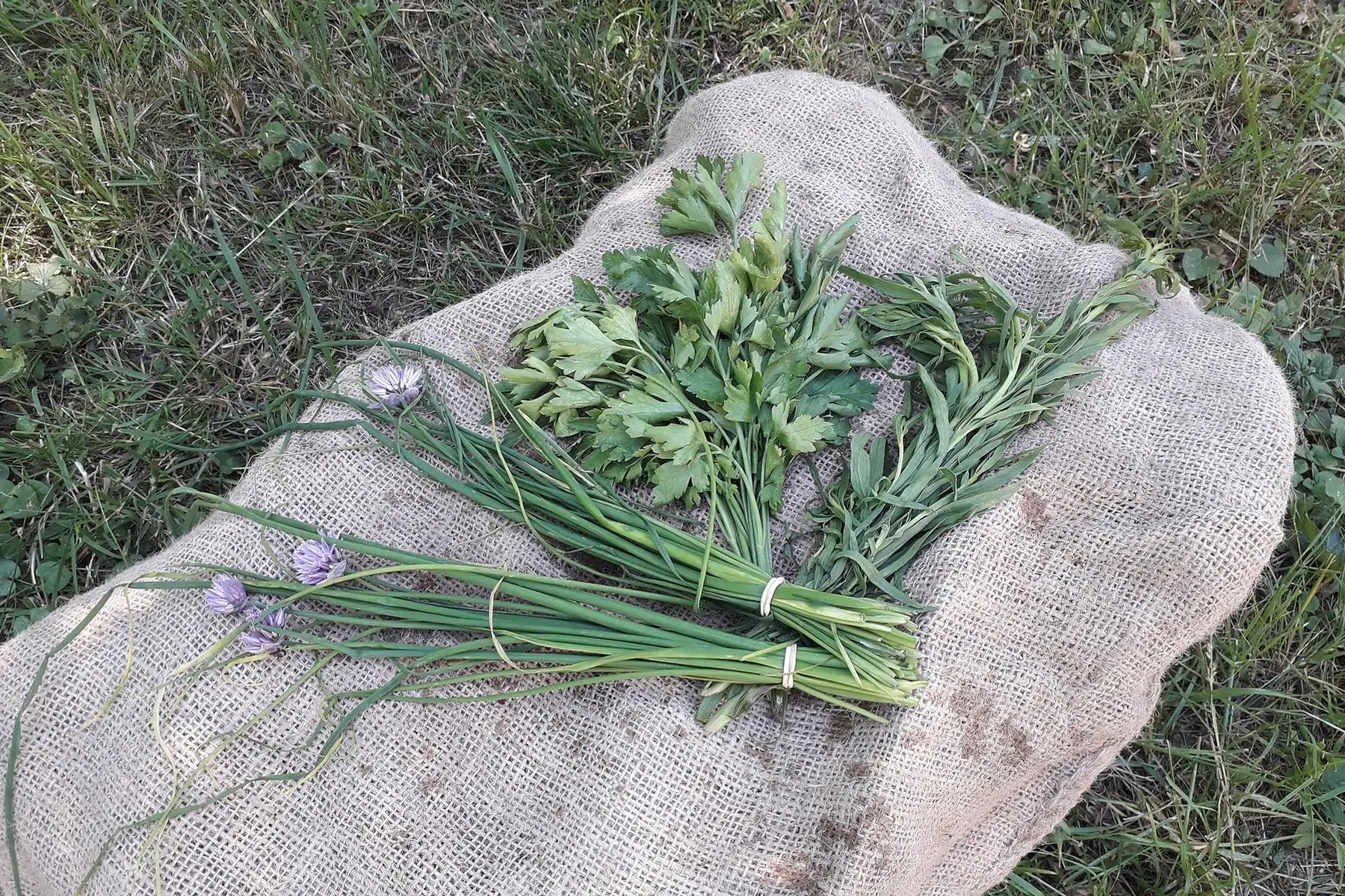 Association des amis de Notre Dame du Chène