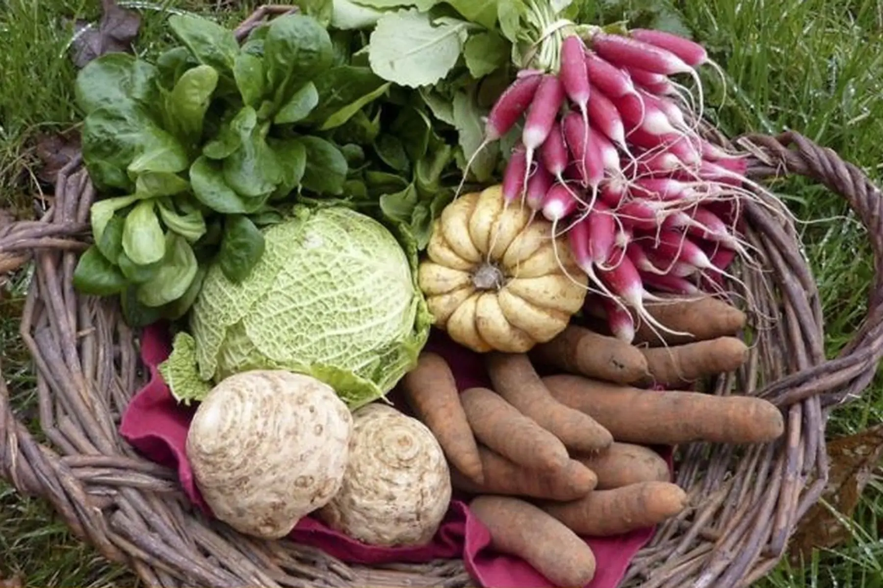 petit panier légumes du 3-6 novembre 2021