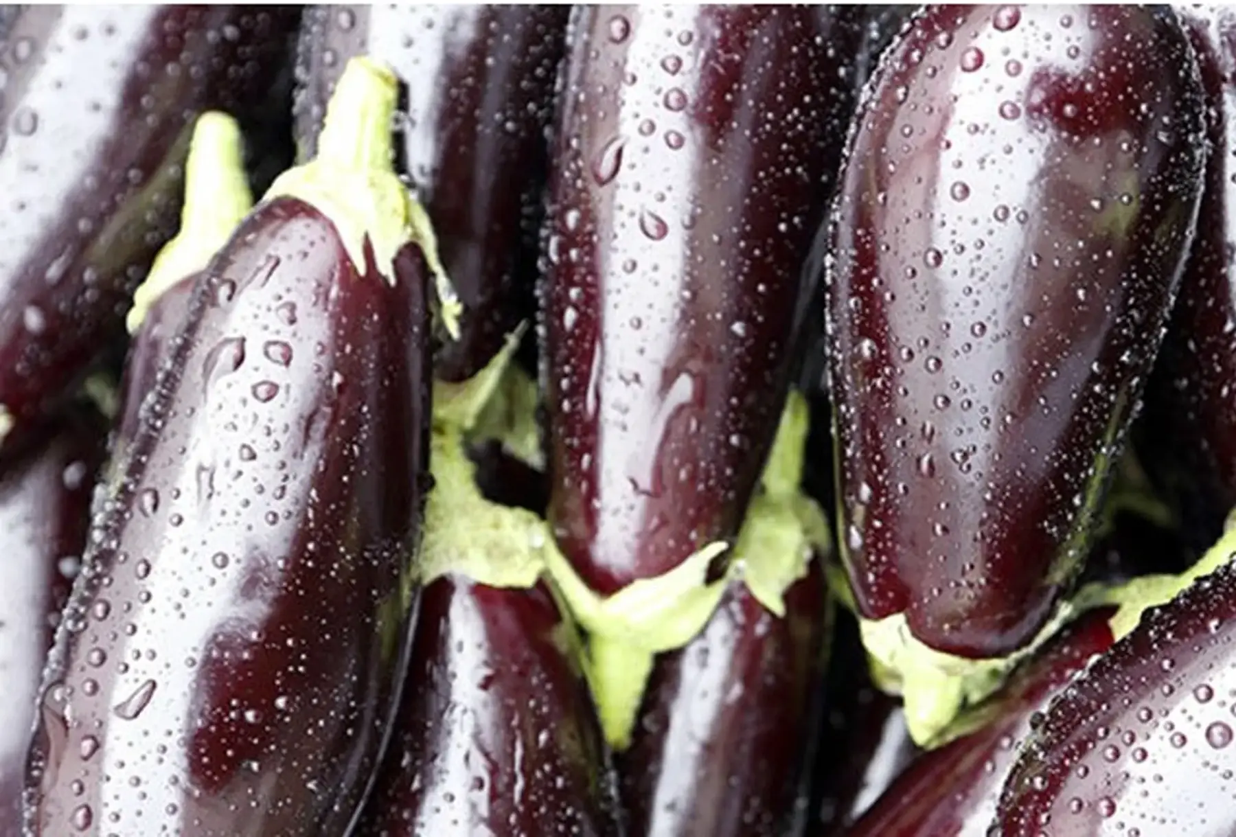 aubergines