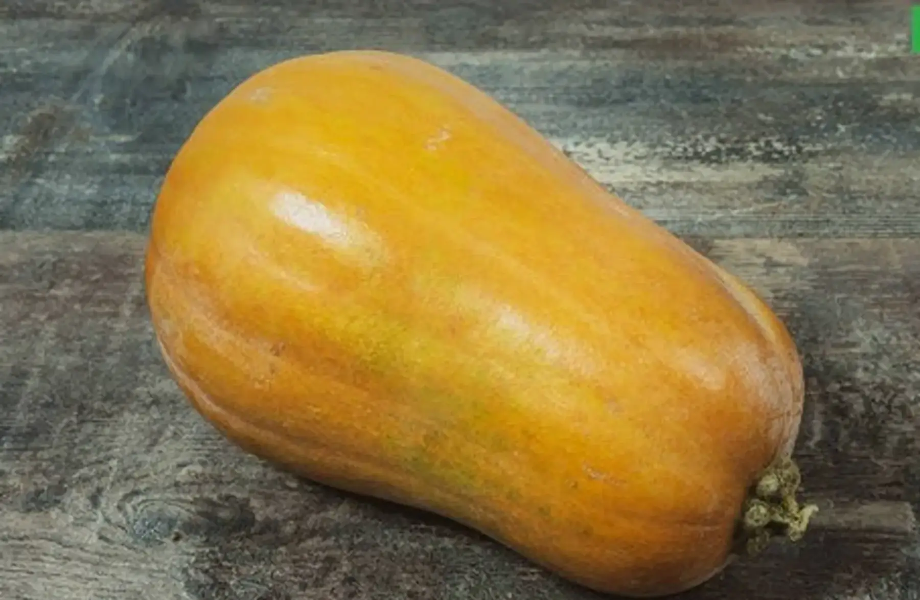 courge sucrine du berry