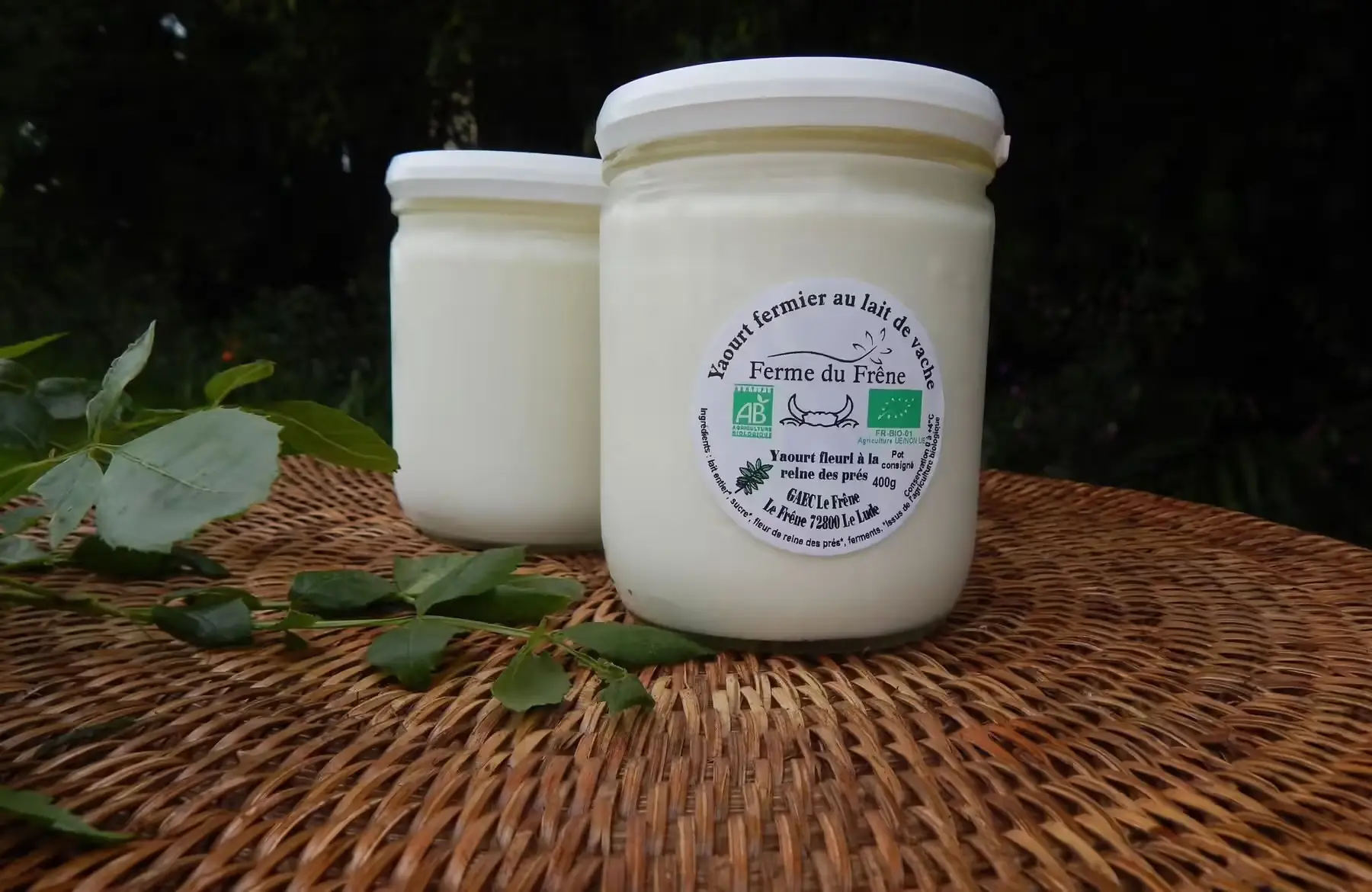 yaourt à la reine des prés