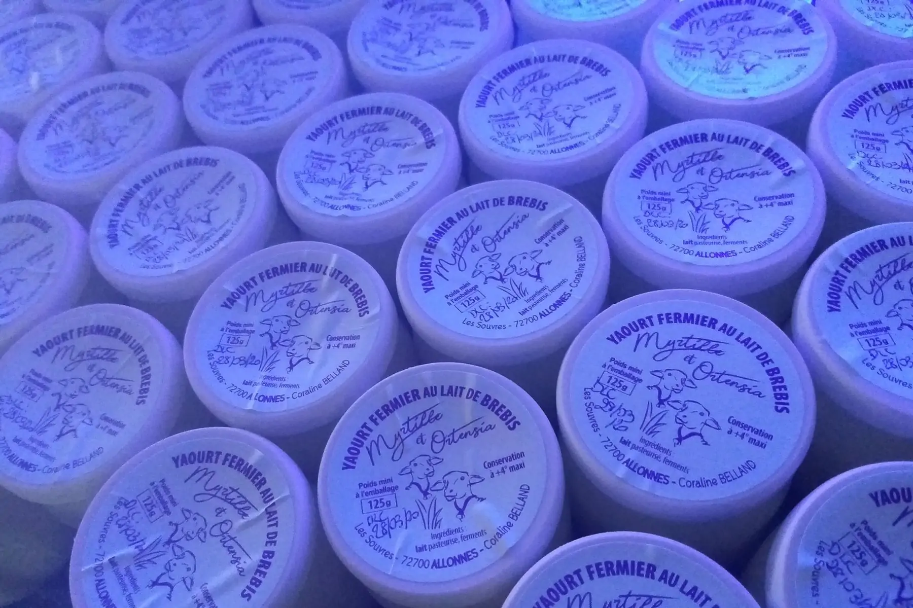 madame coraline belland