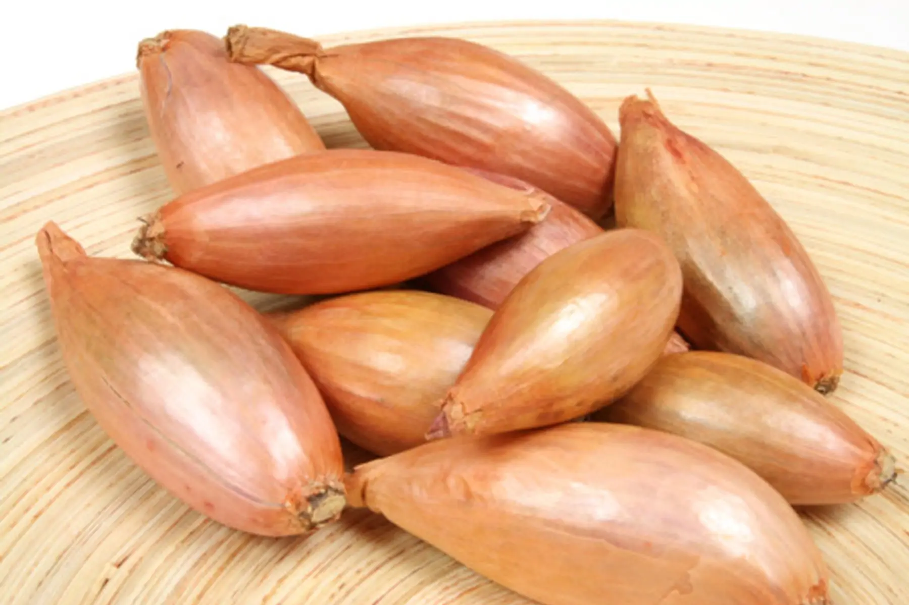 le jardin de la faverie