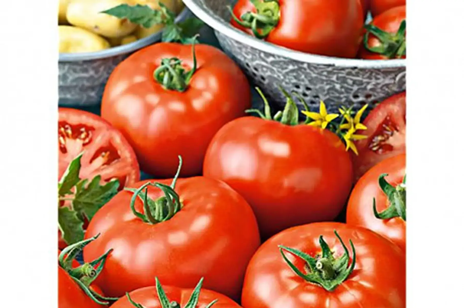 tomates rondes promo 2 kg