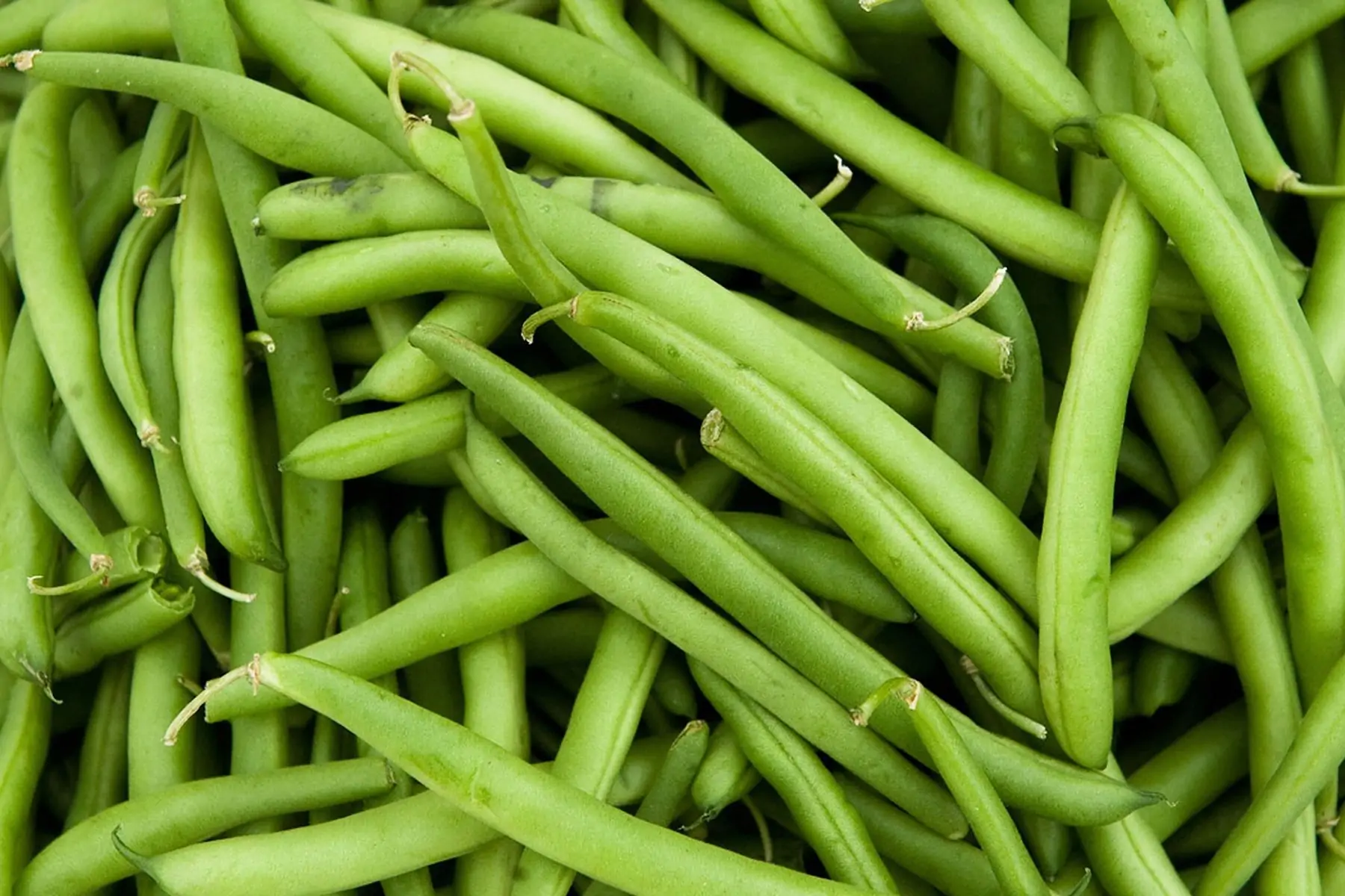 haricots verts