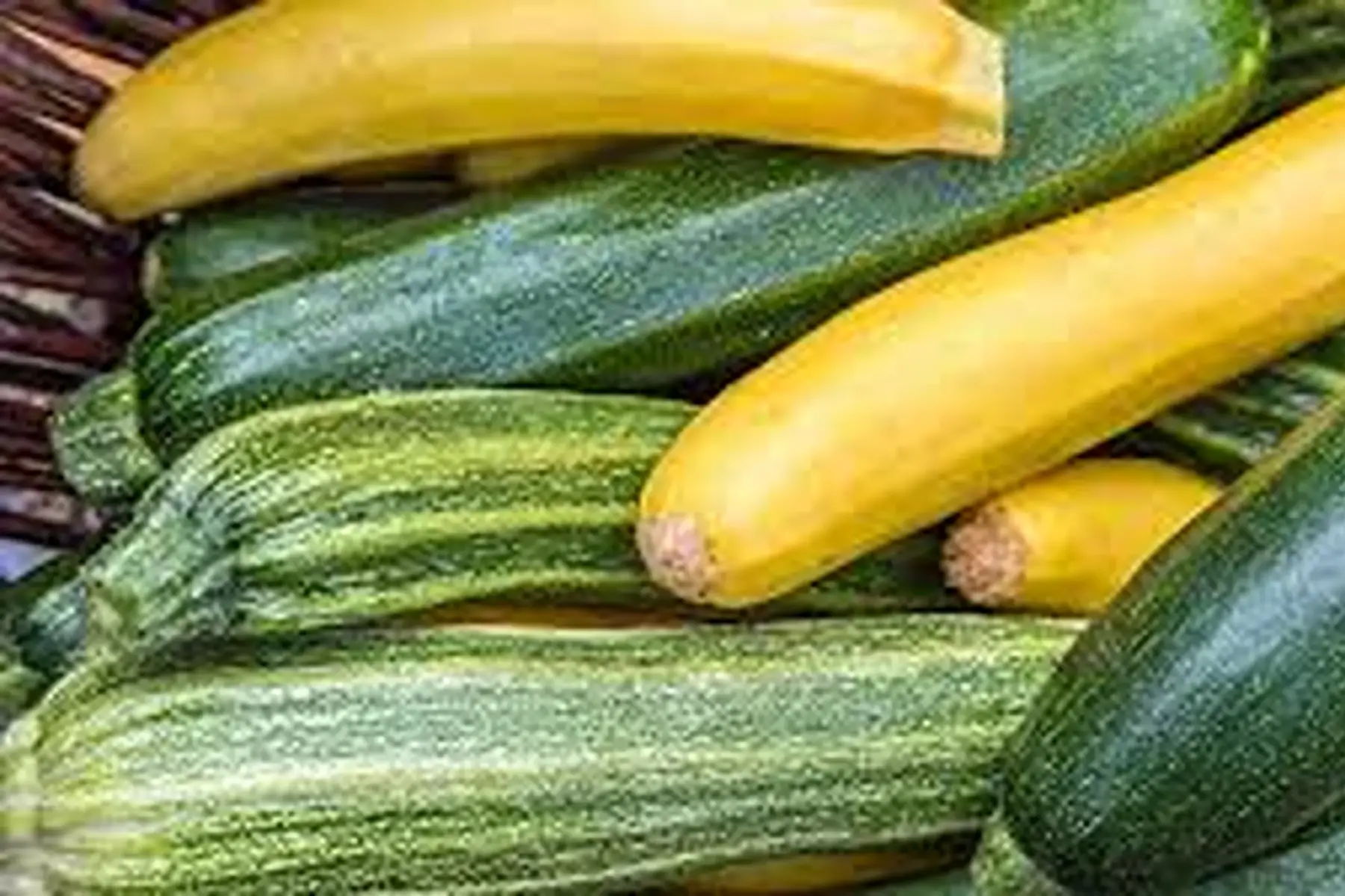 courgettes promo 3kg