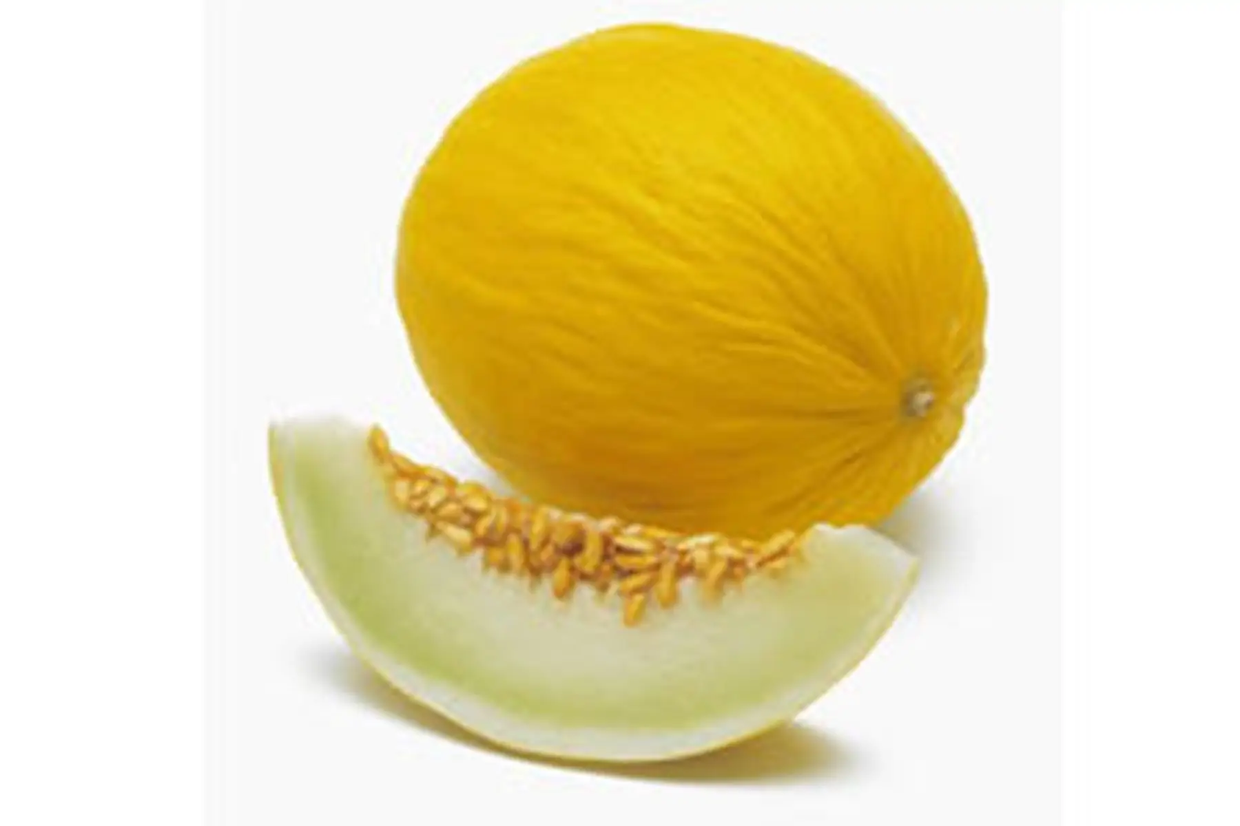 melon d'espagne