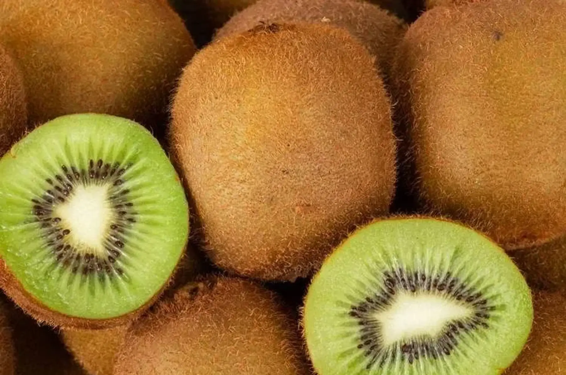 kiwi