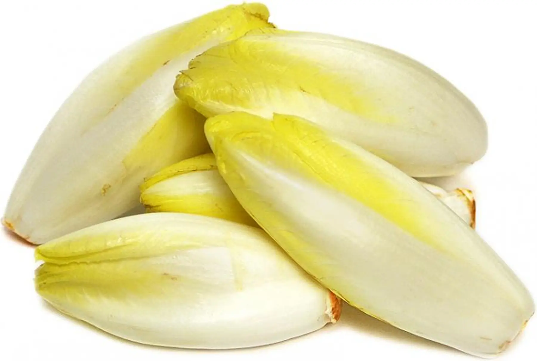 Promo endives