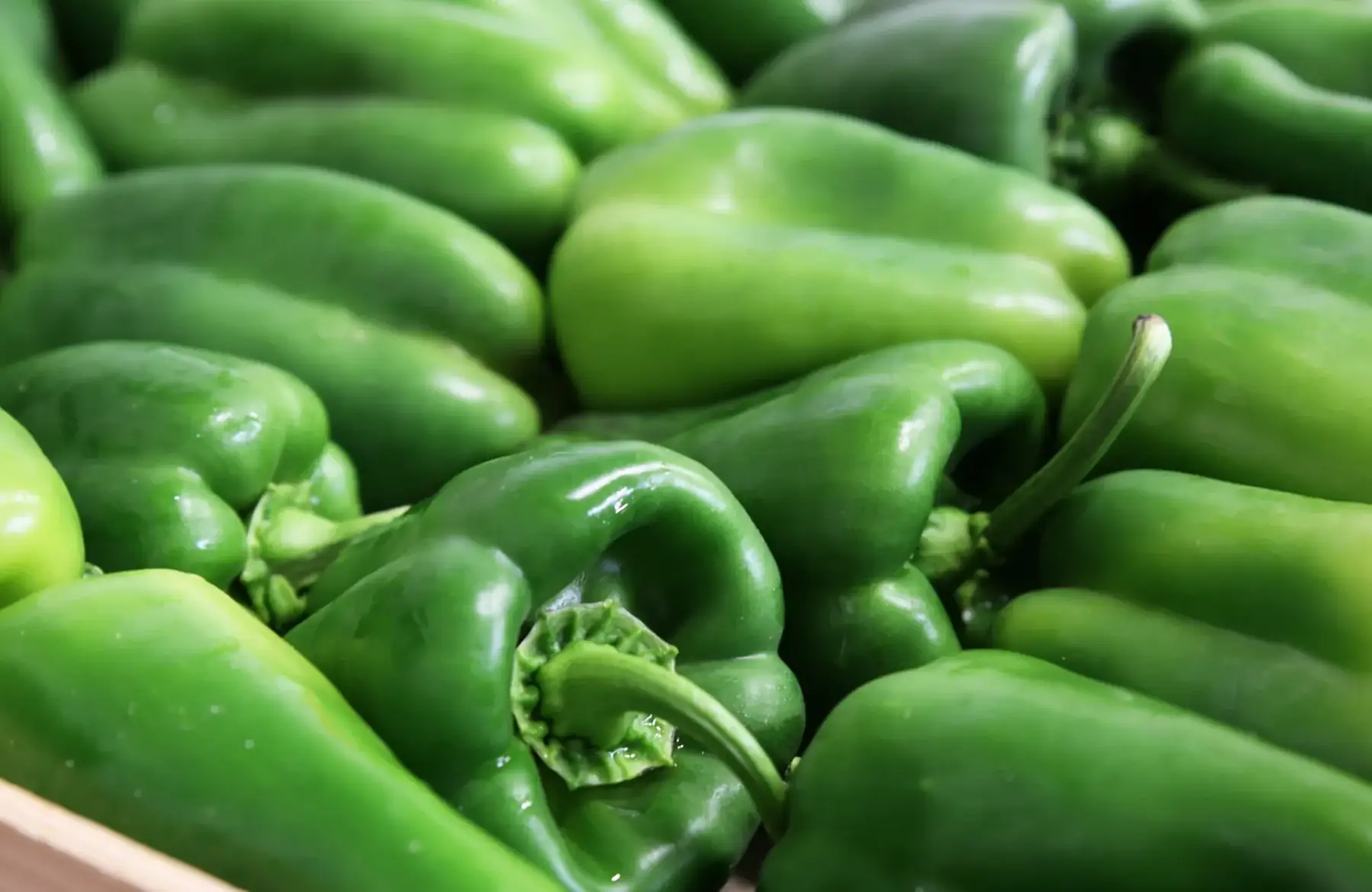 promo poivrons verts/couleurs mix