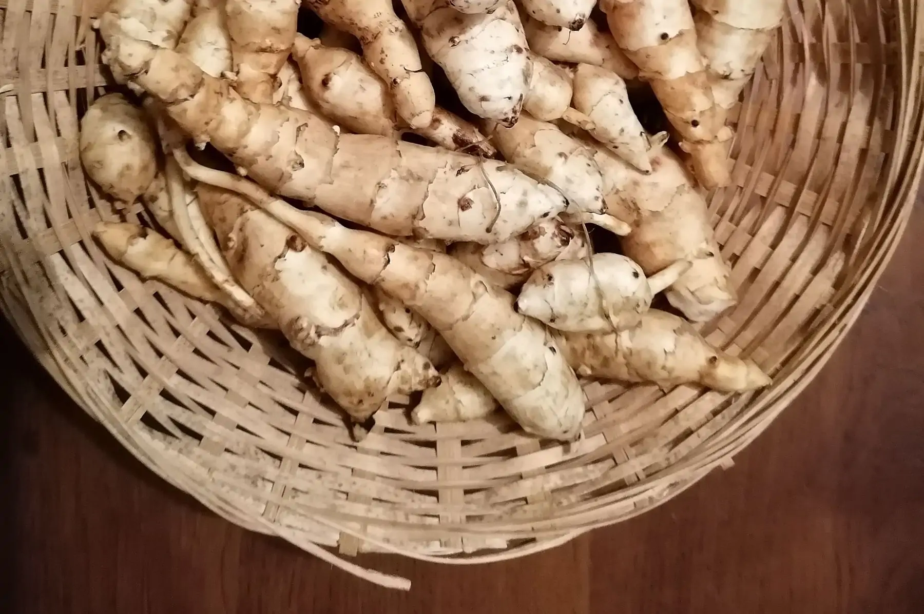 hélianthi (topinambour fuseau)