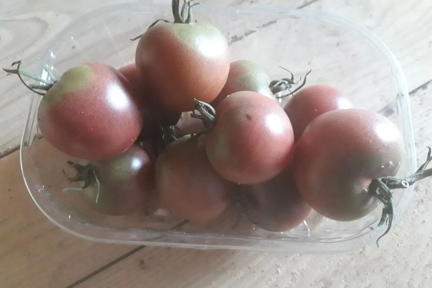 tomate cocktail black cherry