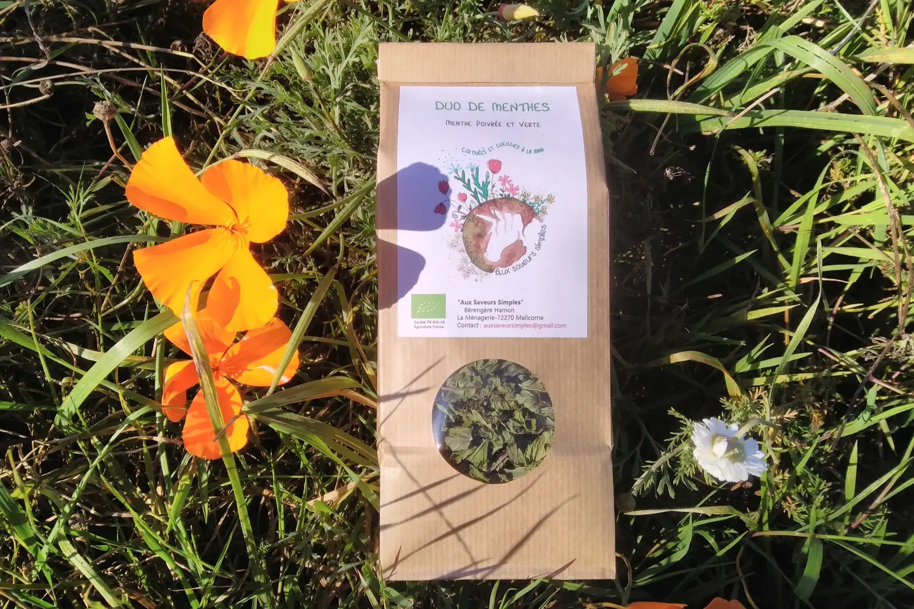 tisane "duo de menthes"