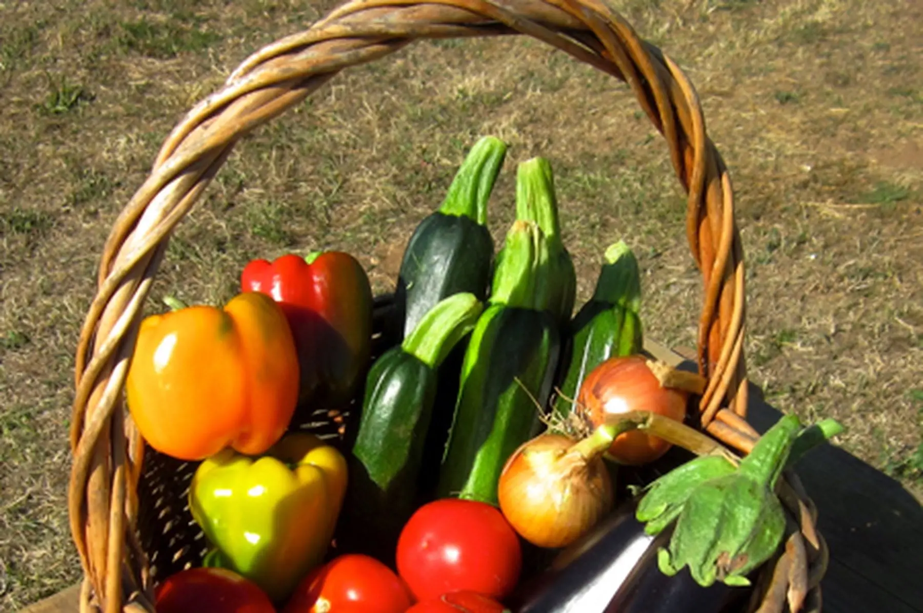 lot pour ratatouille