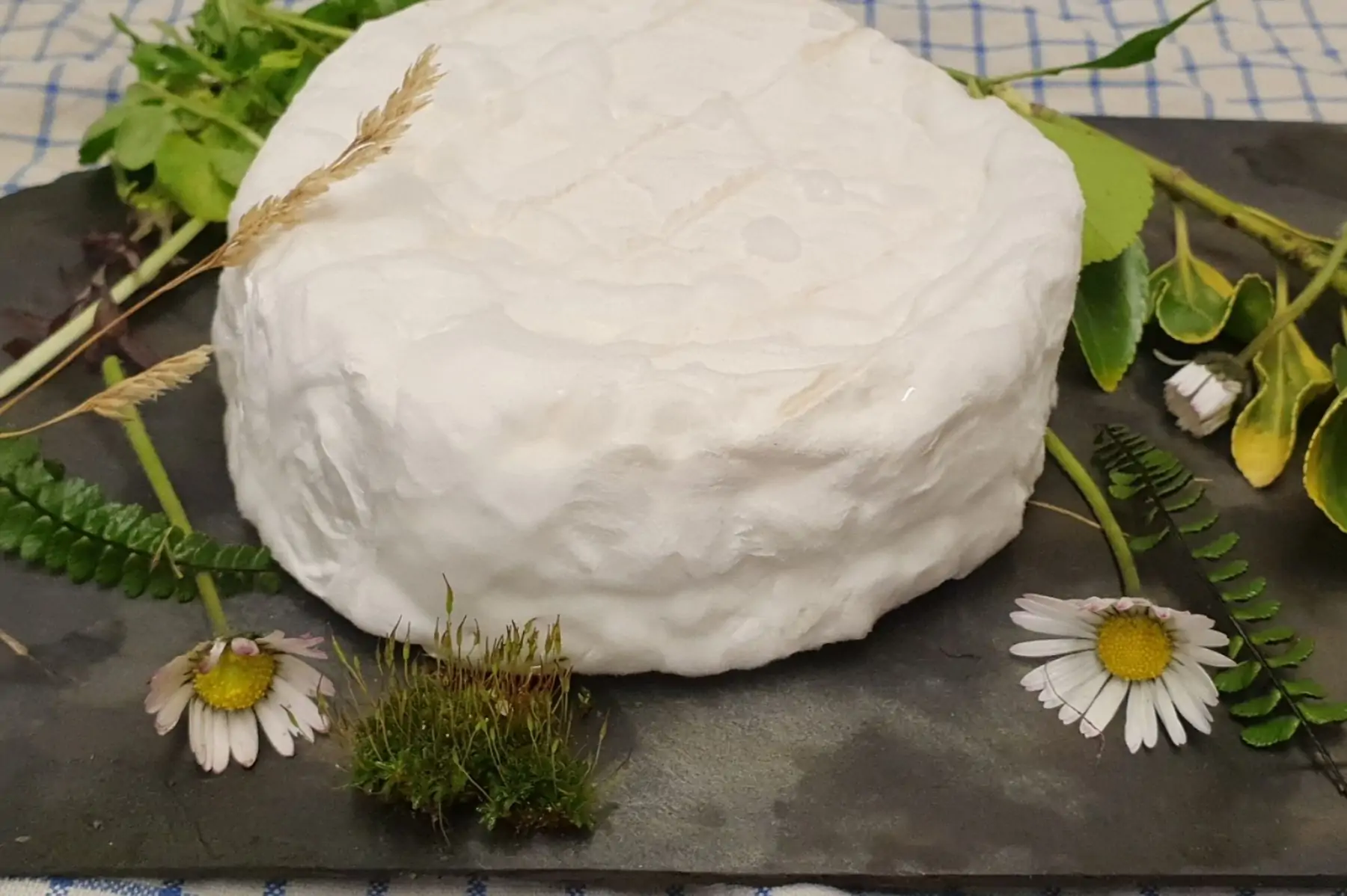 camembert fermier au lait cru