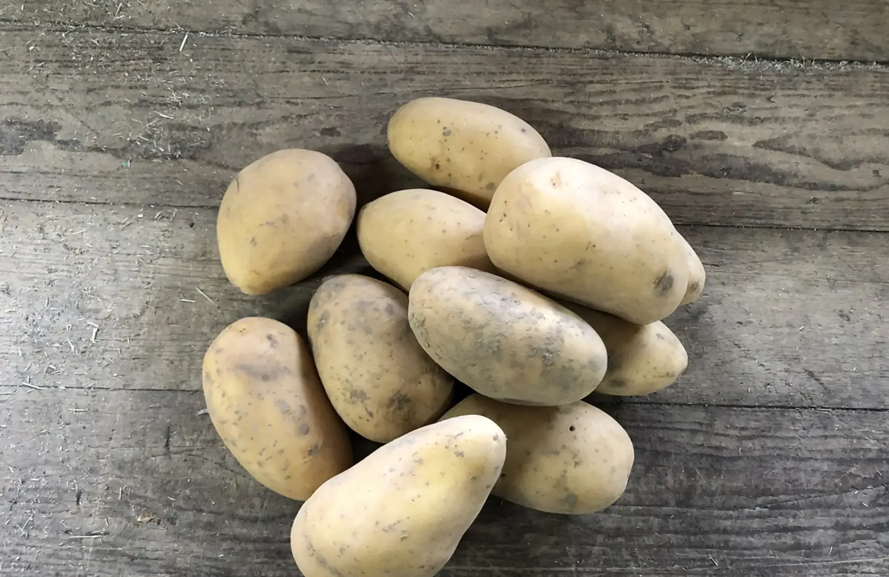 Pomme de TERRE ALLIANS