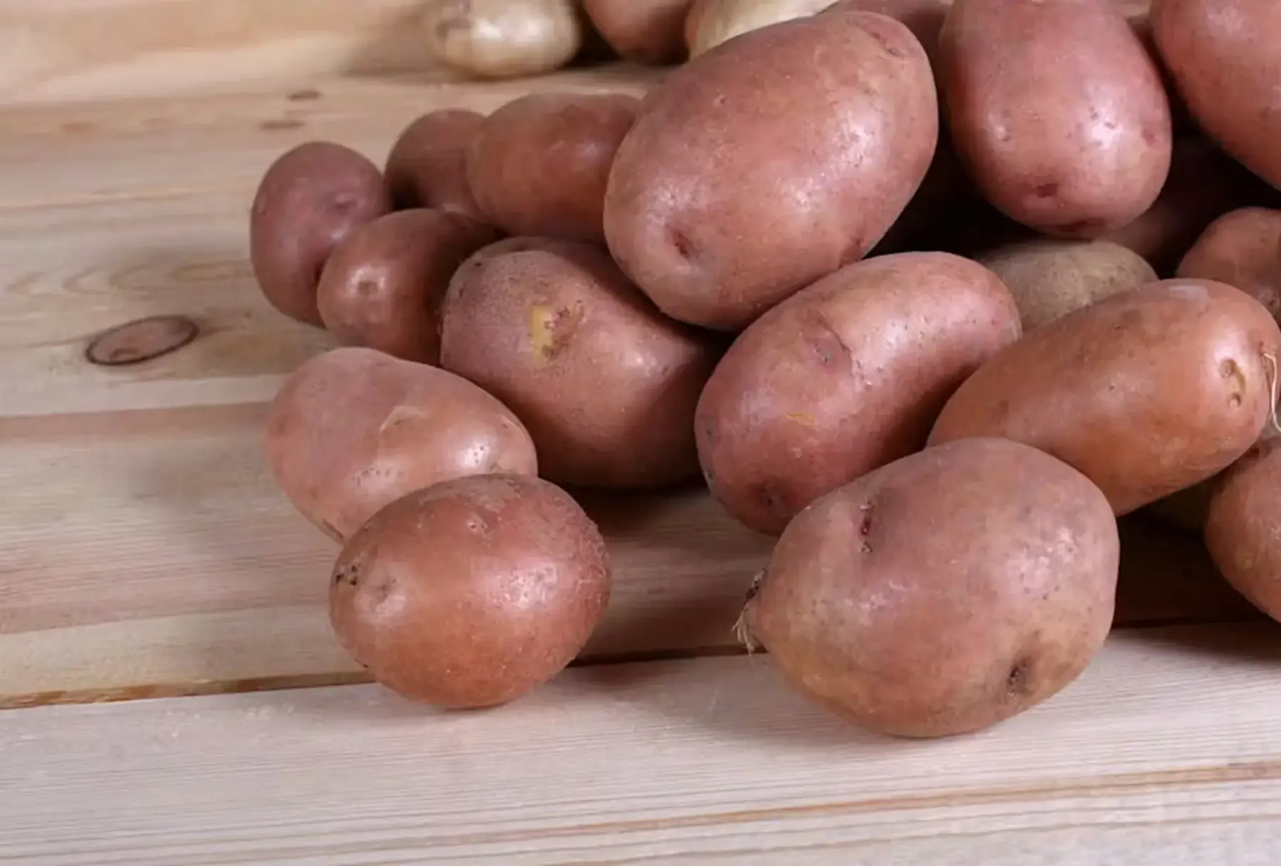 Pomme de TERRE GRENAILLE rosabelle