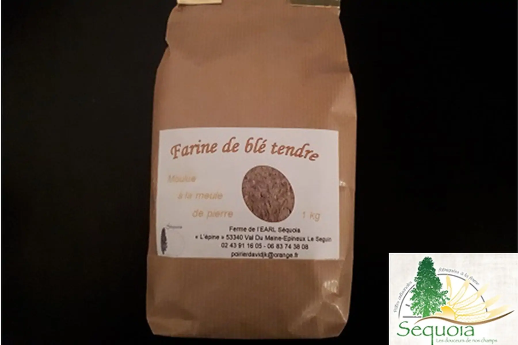 farine de blé tendre