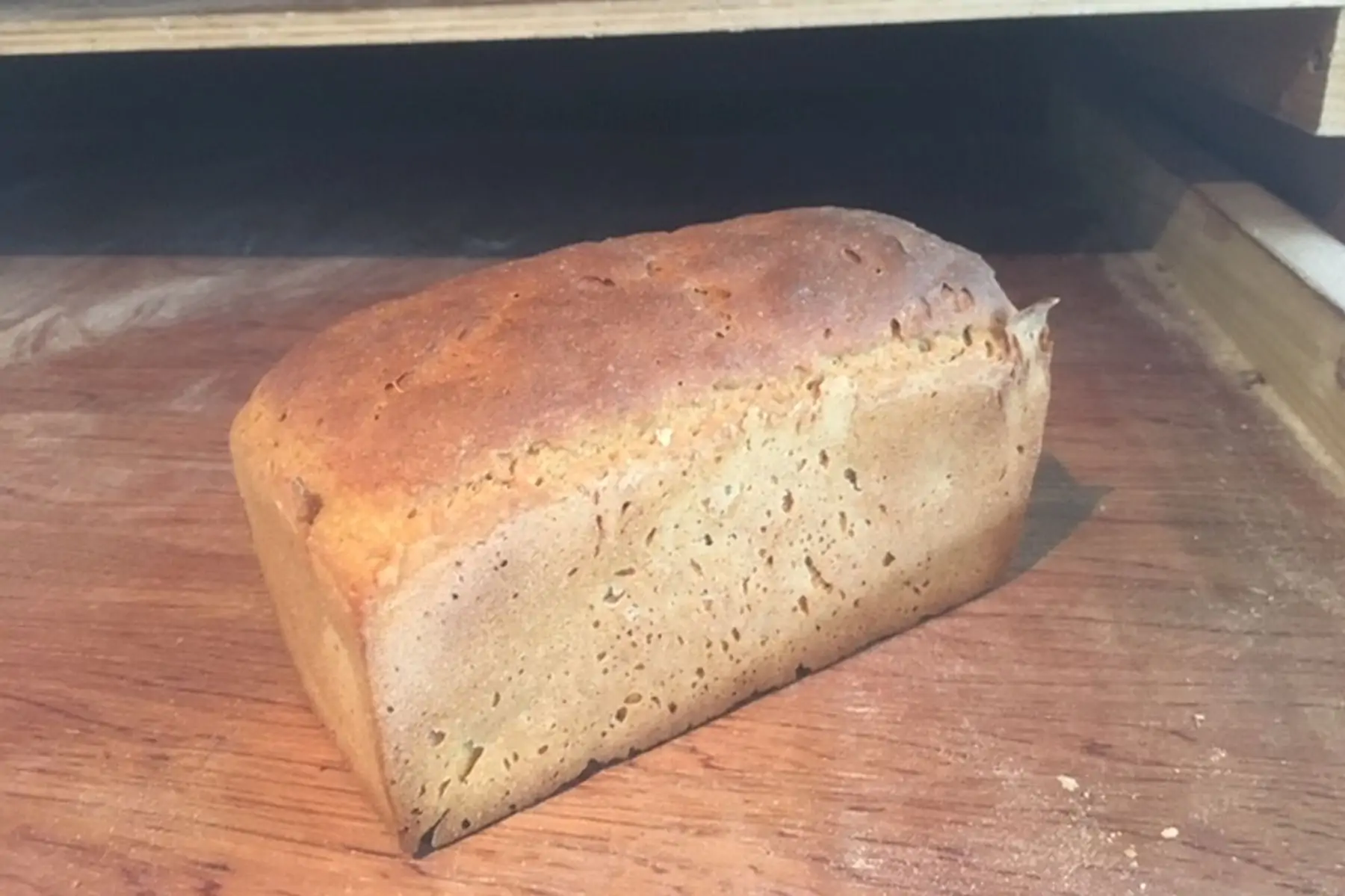 pain petit épeautre 100% bio au levain naturel de petit épeautre