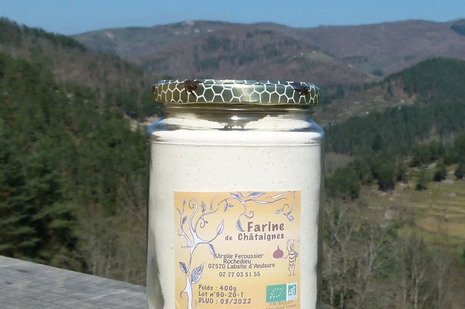 farine de châtaignes bio