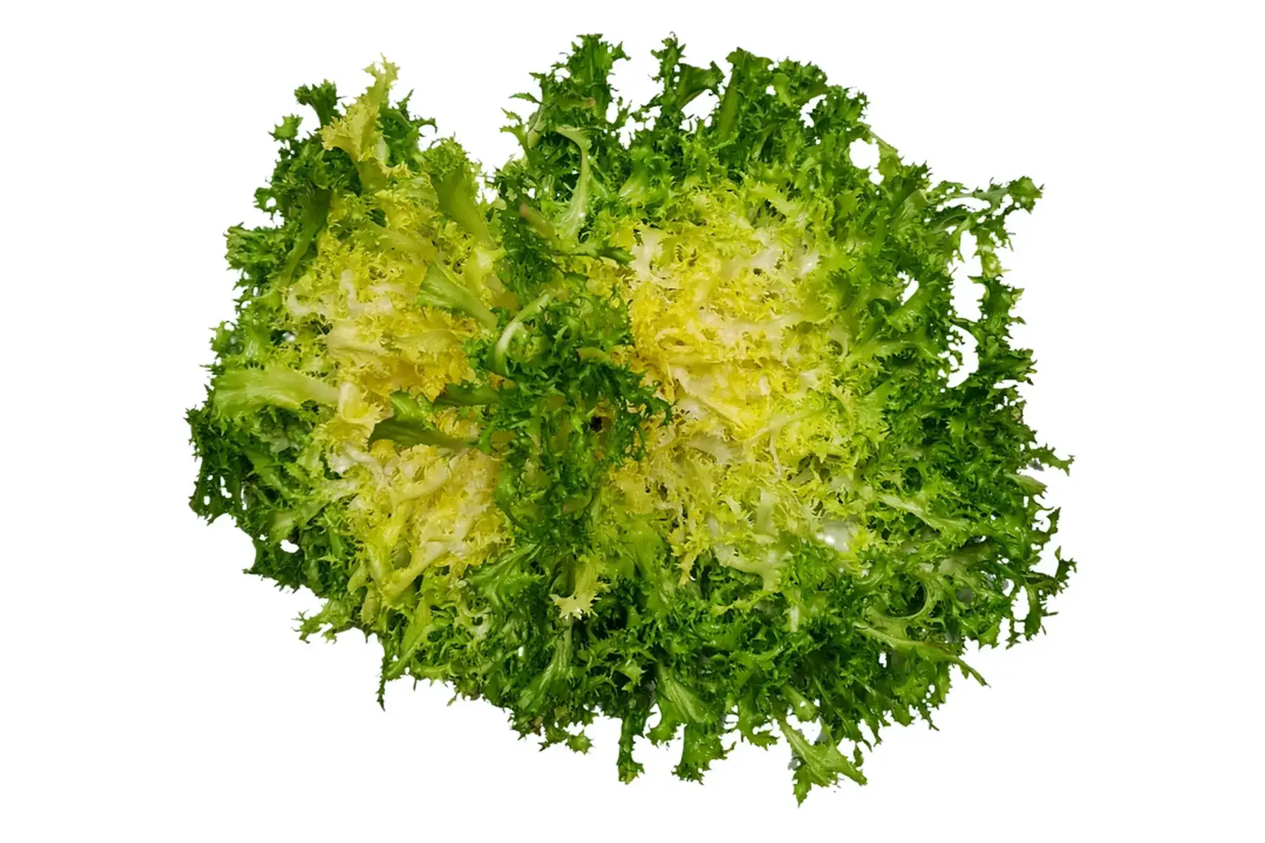 salade frisée