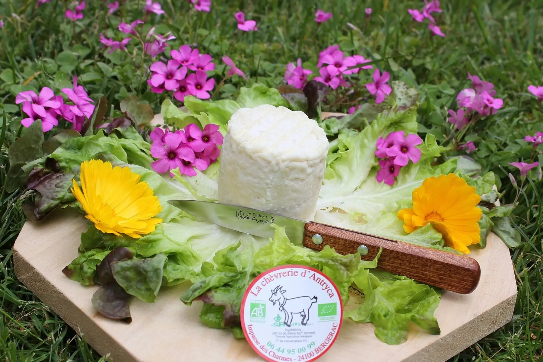 major (fromage de chèvre fermier bio au lait cru)