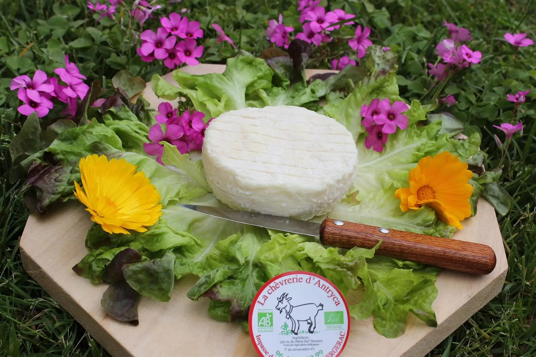 capitaine (fromage de chèvre fermier bio au lait cru)