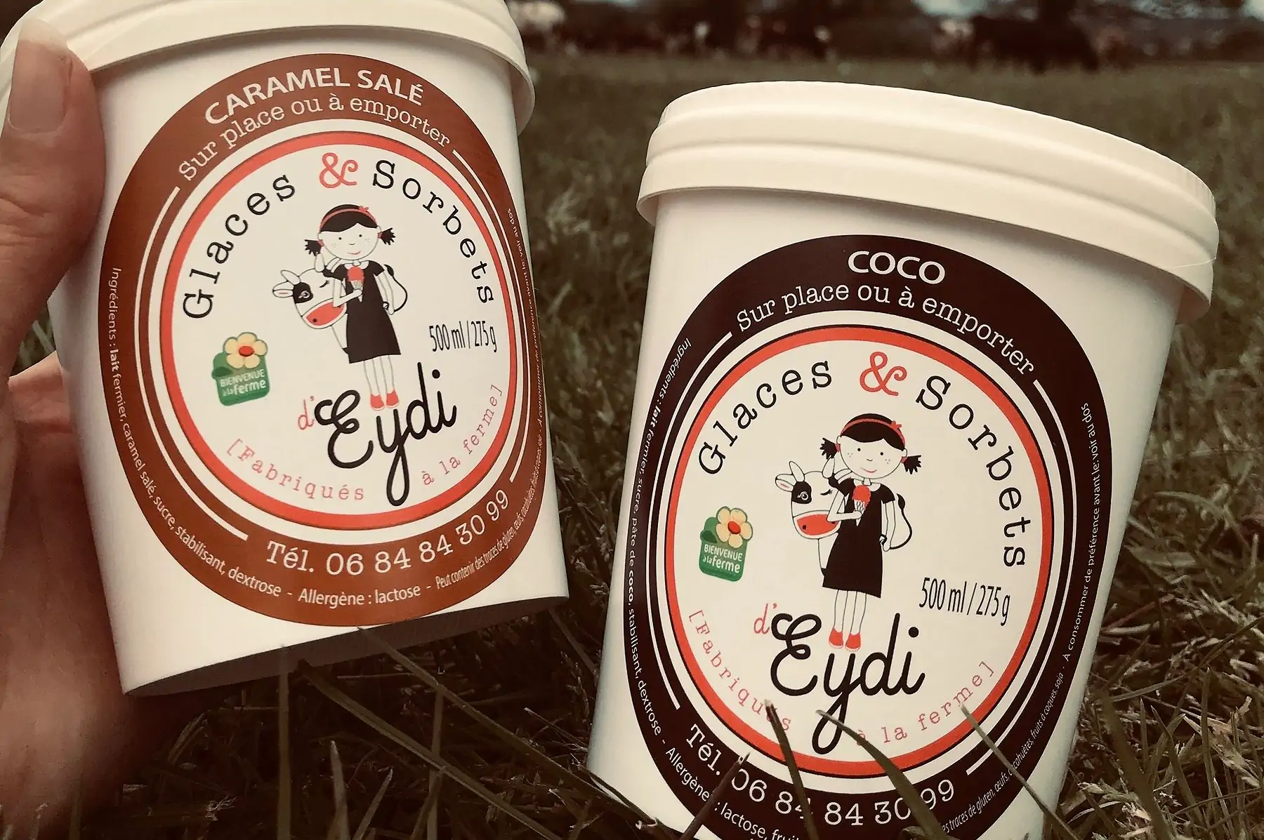 glace 500ml (10 parfums aux choix)